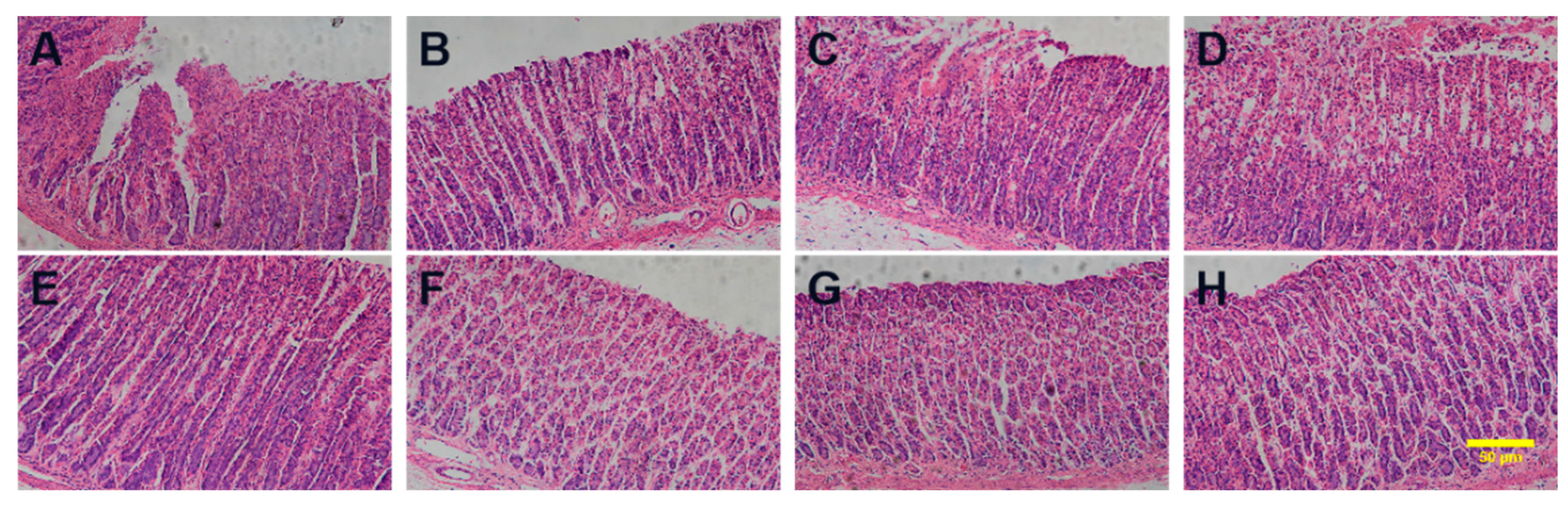 Pharmaceutics 16 00745 g010