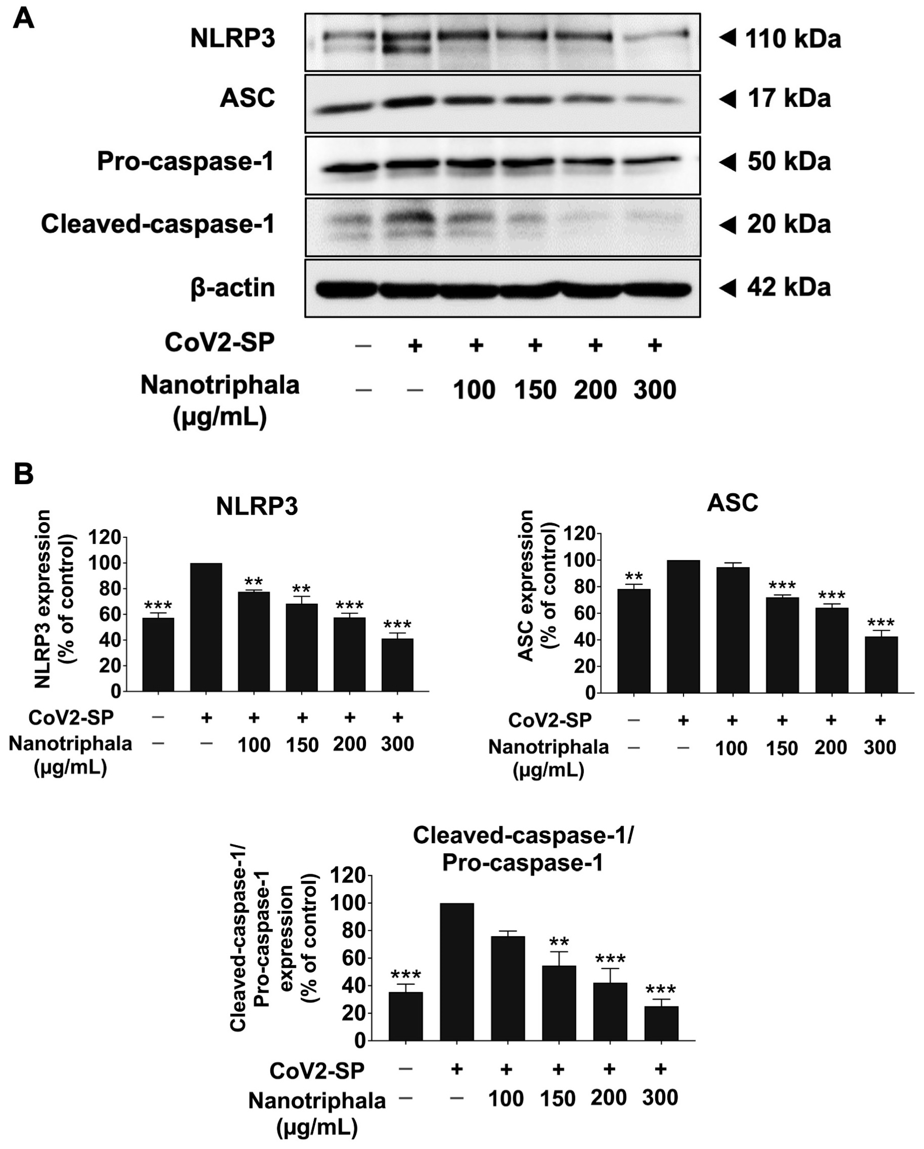 Pharmaceutics 16 00751 g010