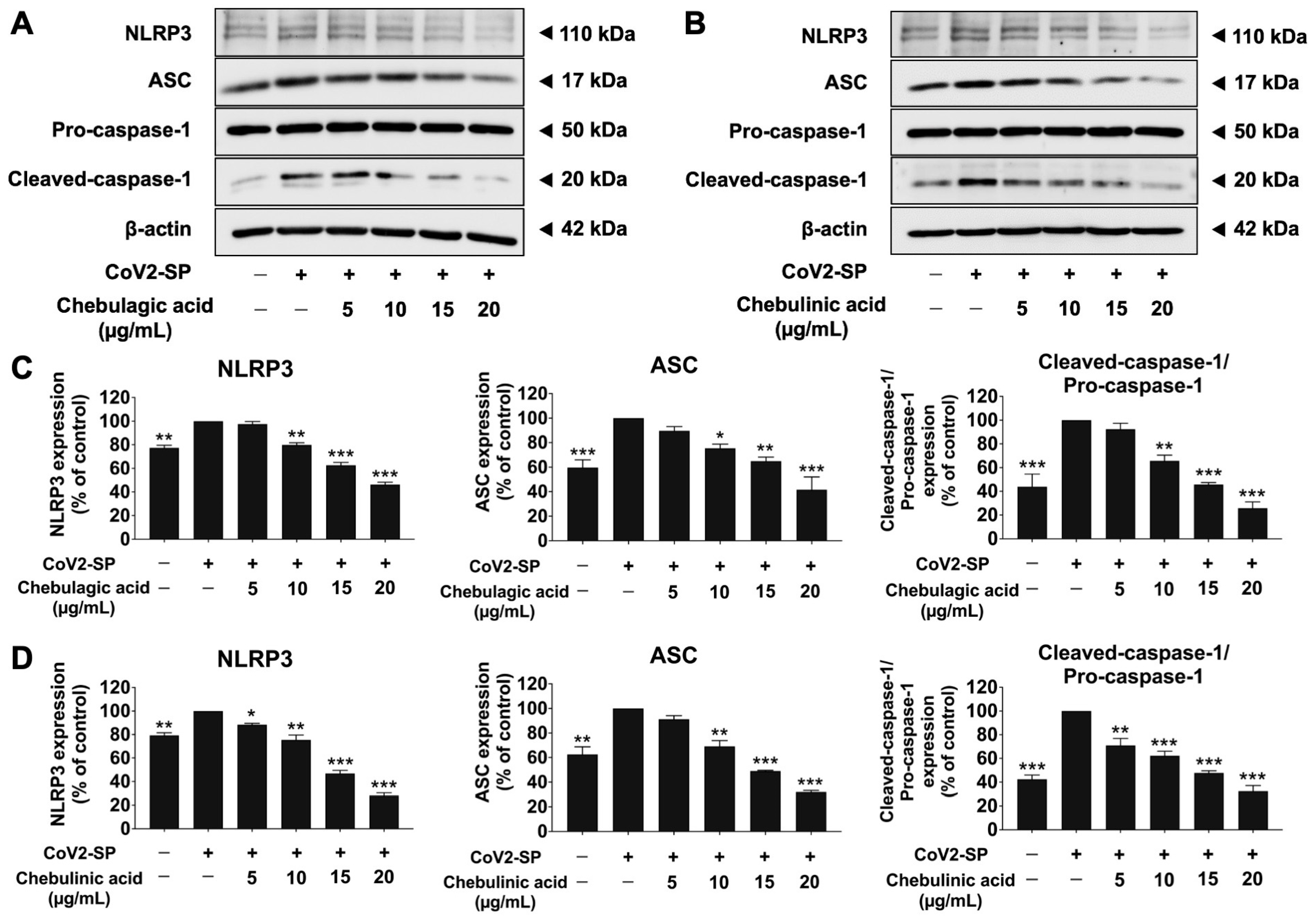 Pharmaceutics 16 00751 g011