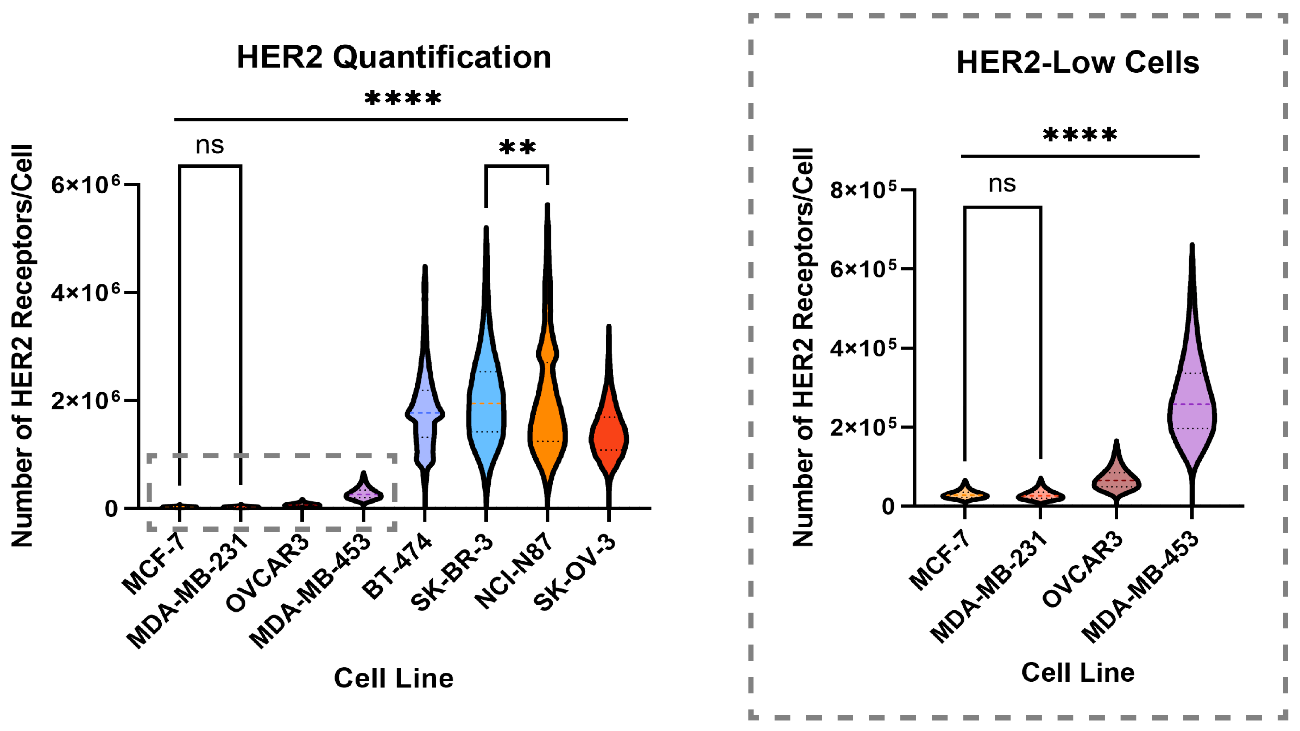 Pharmaceutics 16 00752 g001