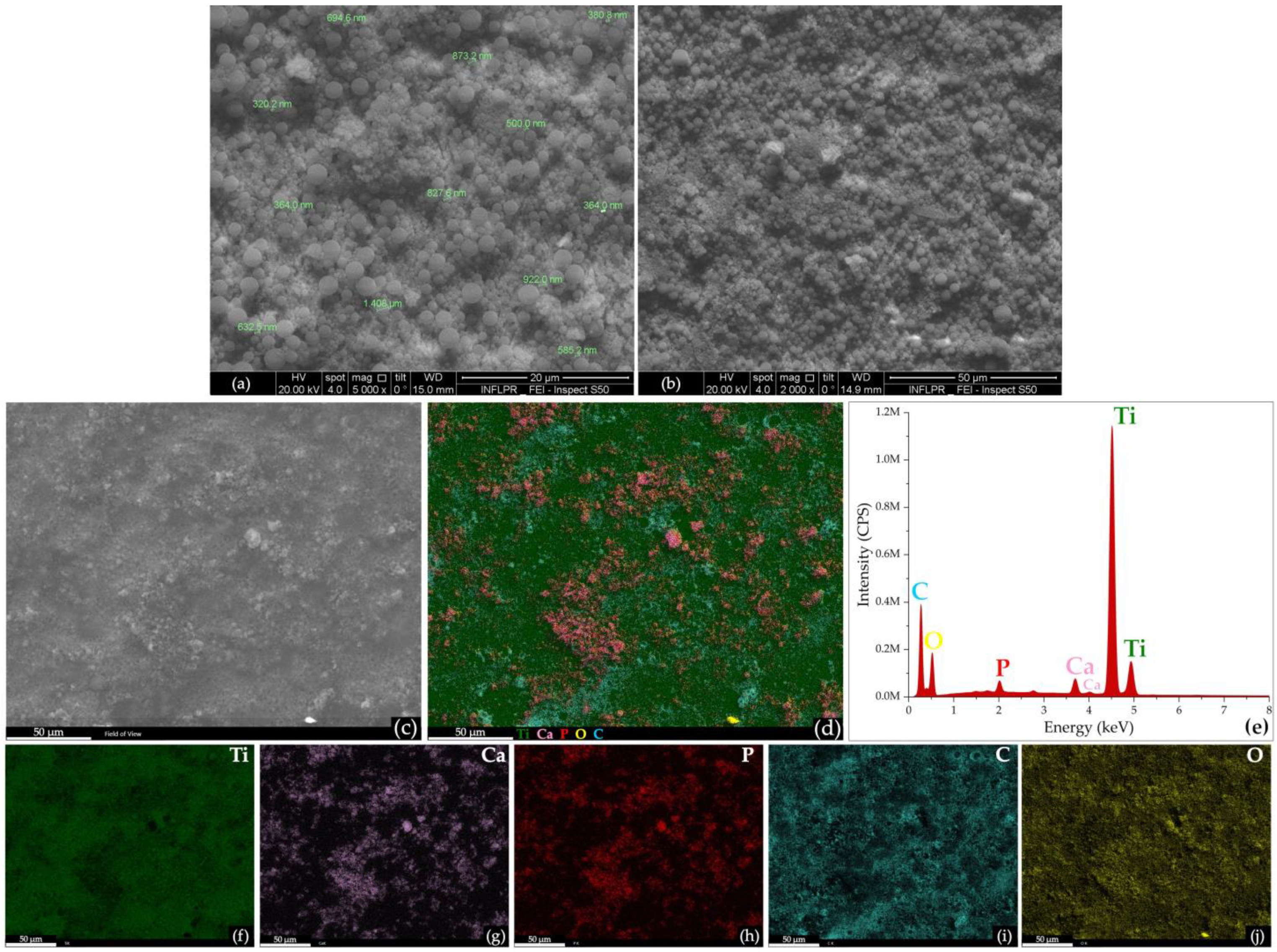Pharmaceutics 16 00754 g003