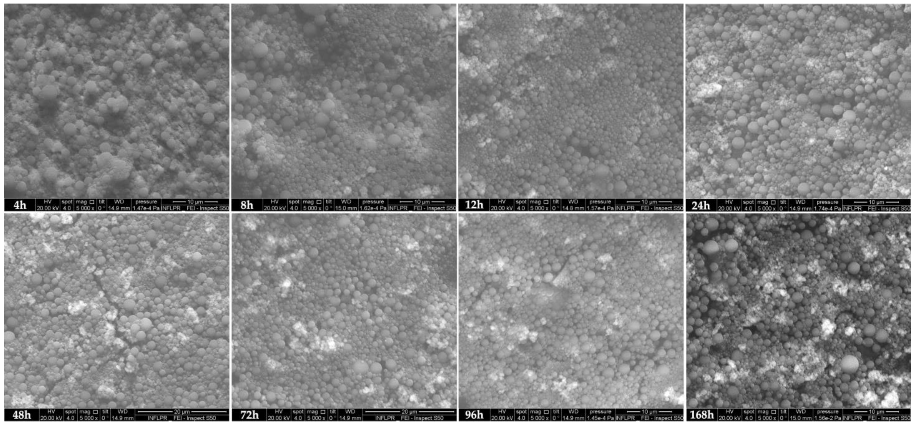 Pharmaceutics 16 00754 g004