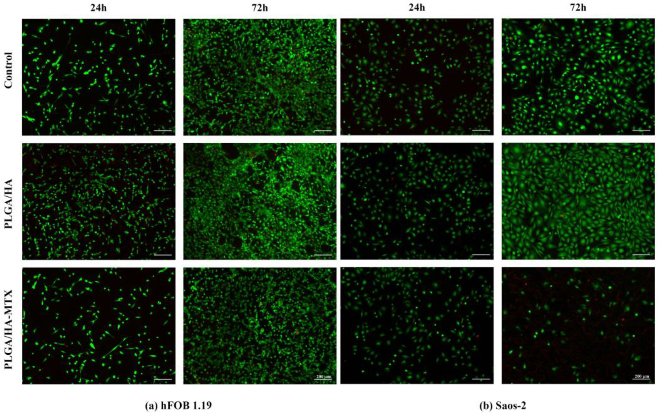 Pharmaceutics 16 00754 g007