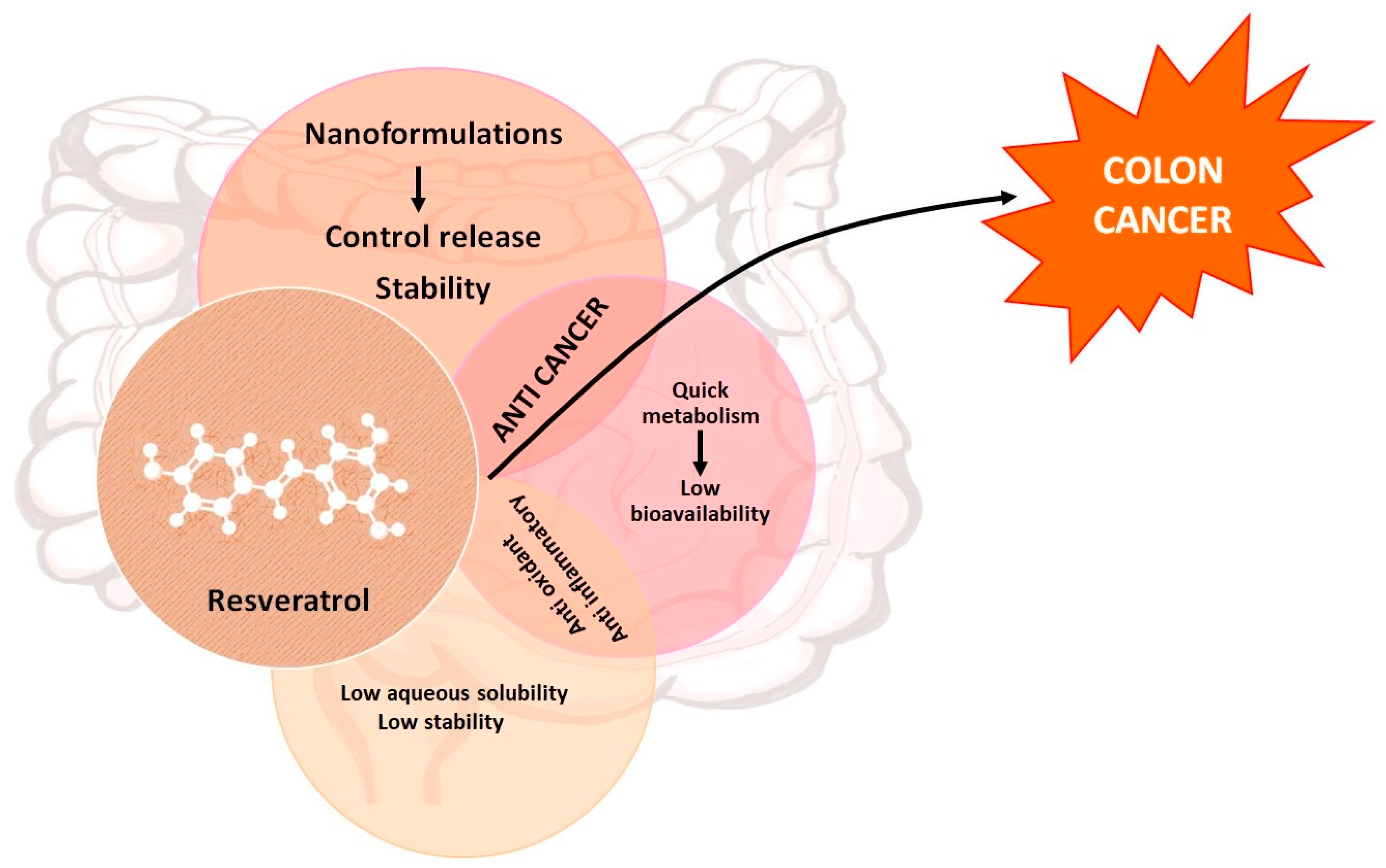 Pharmaceutics 16 00761 g001