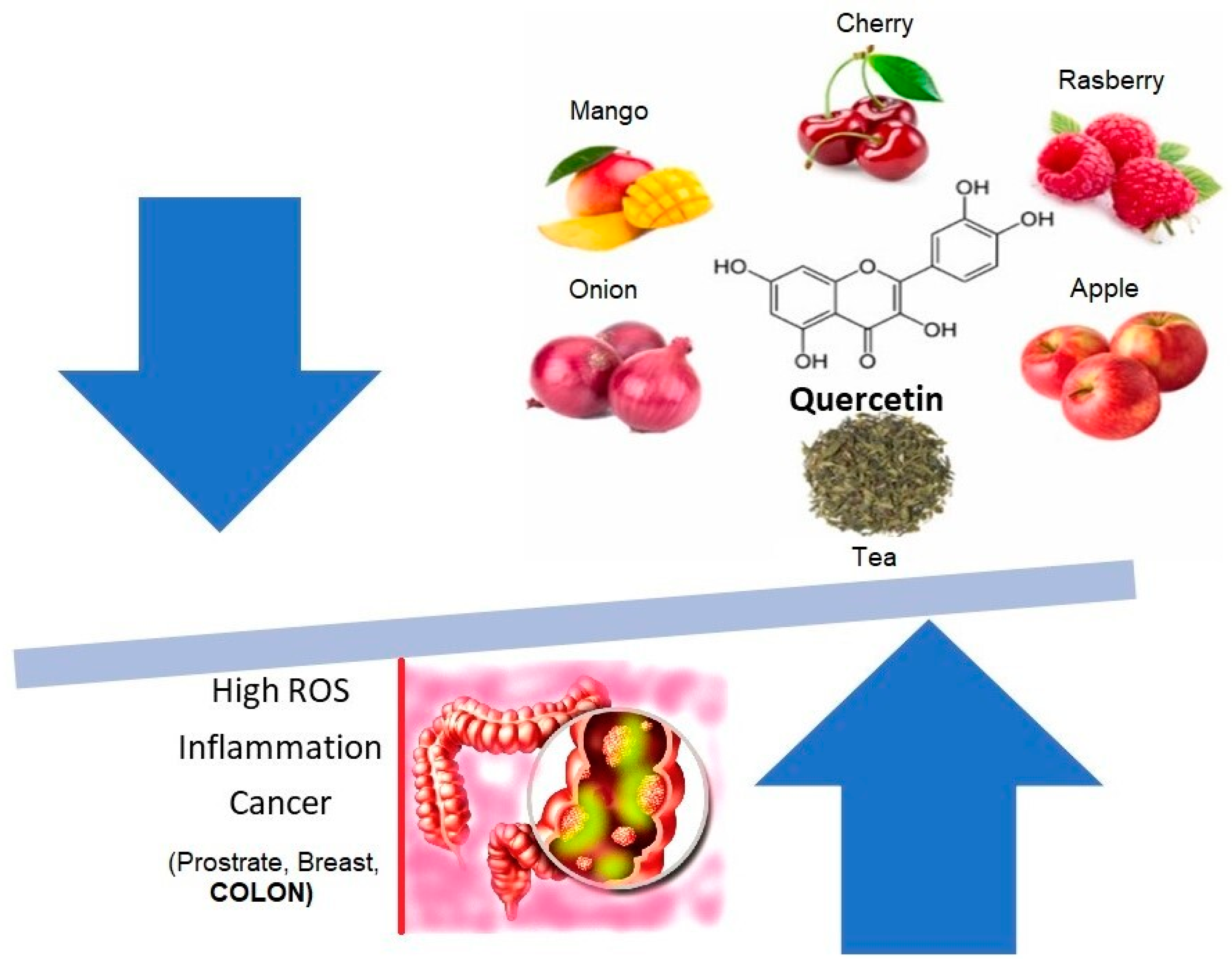 Pharmaceutics 16 00761 g002