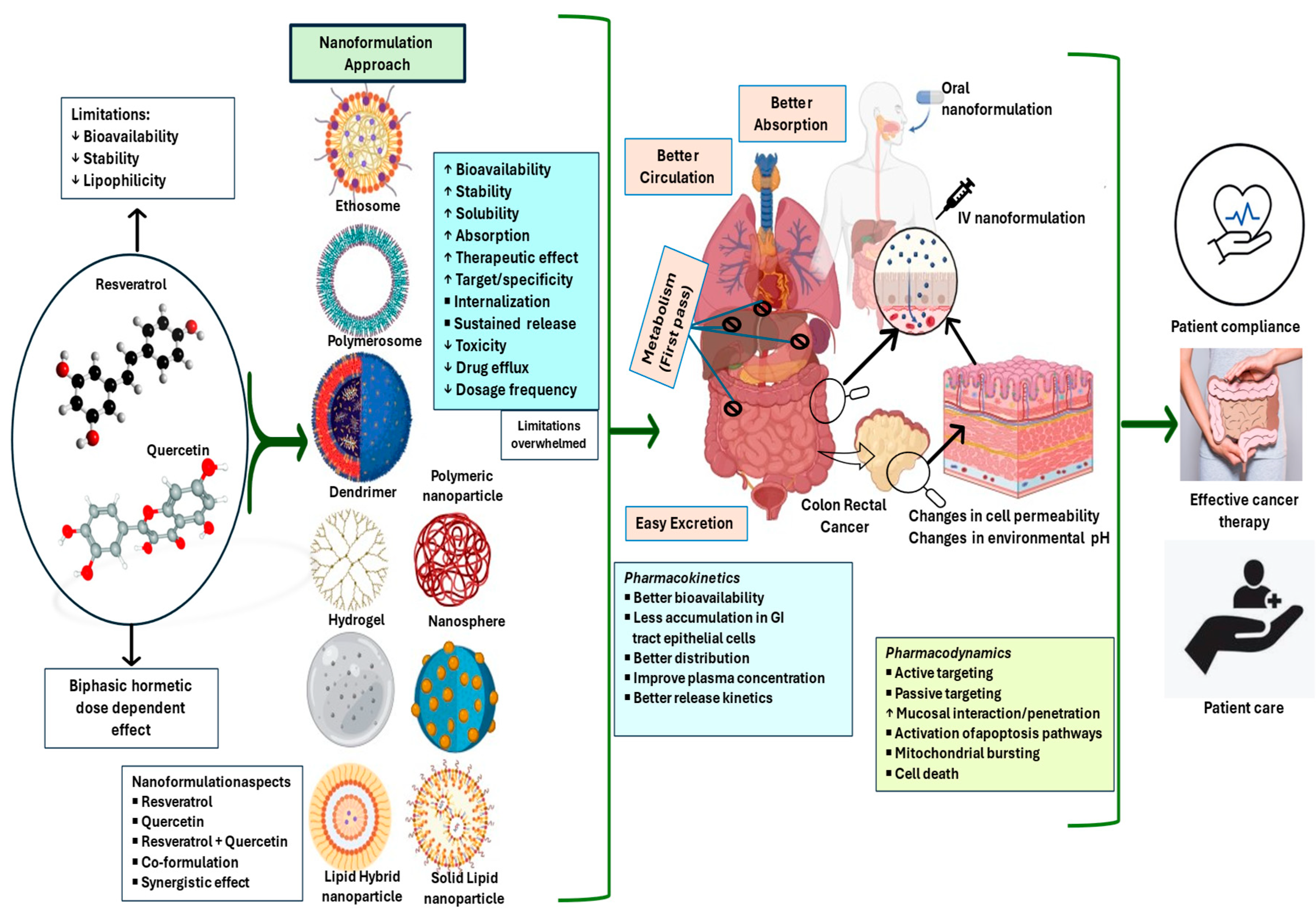 Pharmaceutics 16 00761 g005