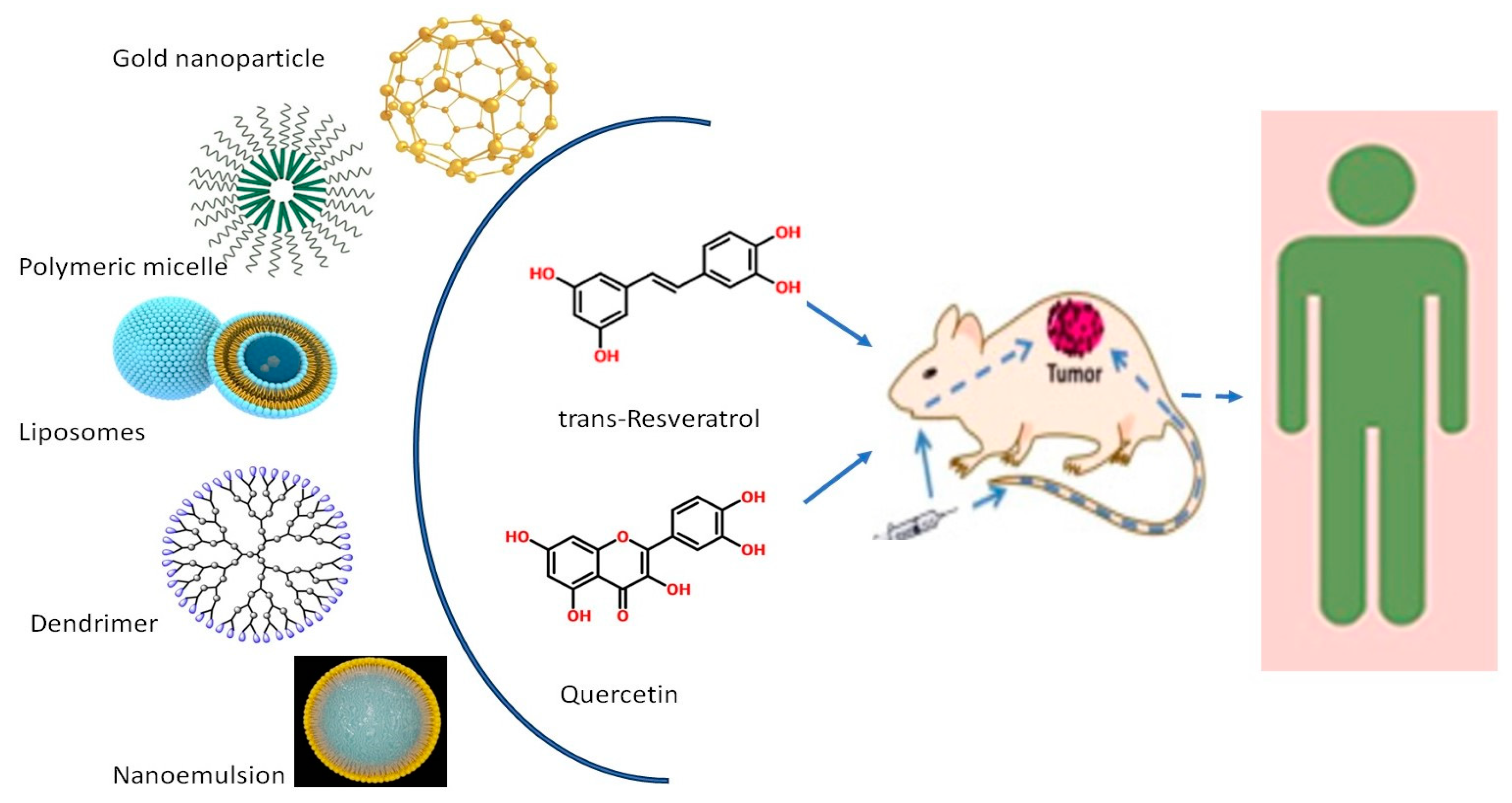 Pharmaceutics 16 00761 g006