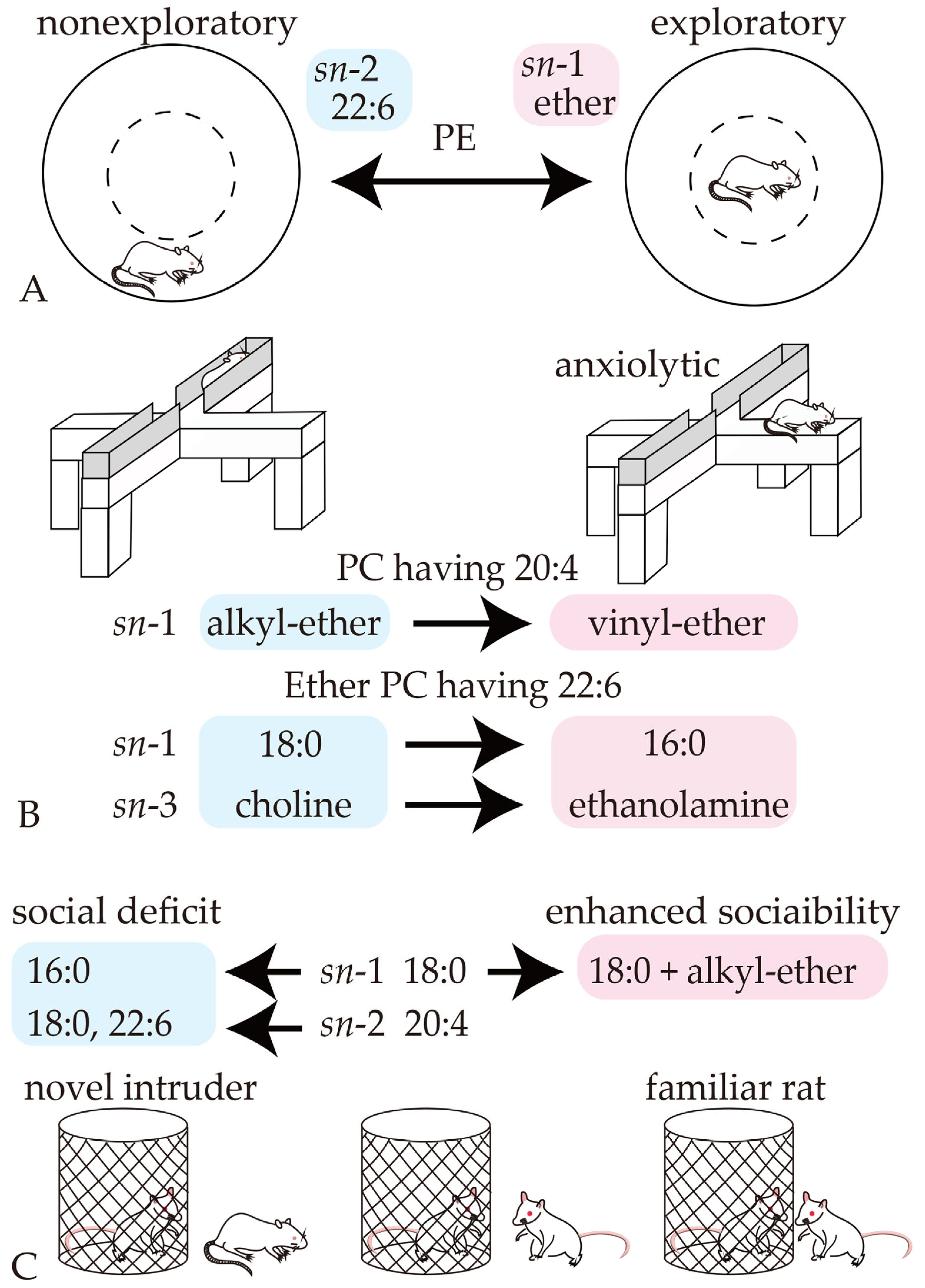 Pharmaceutics 16 00762 g010