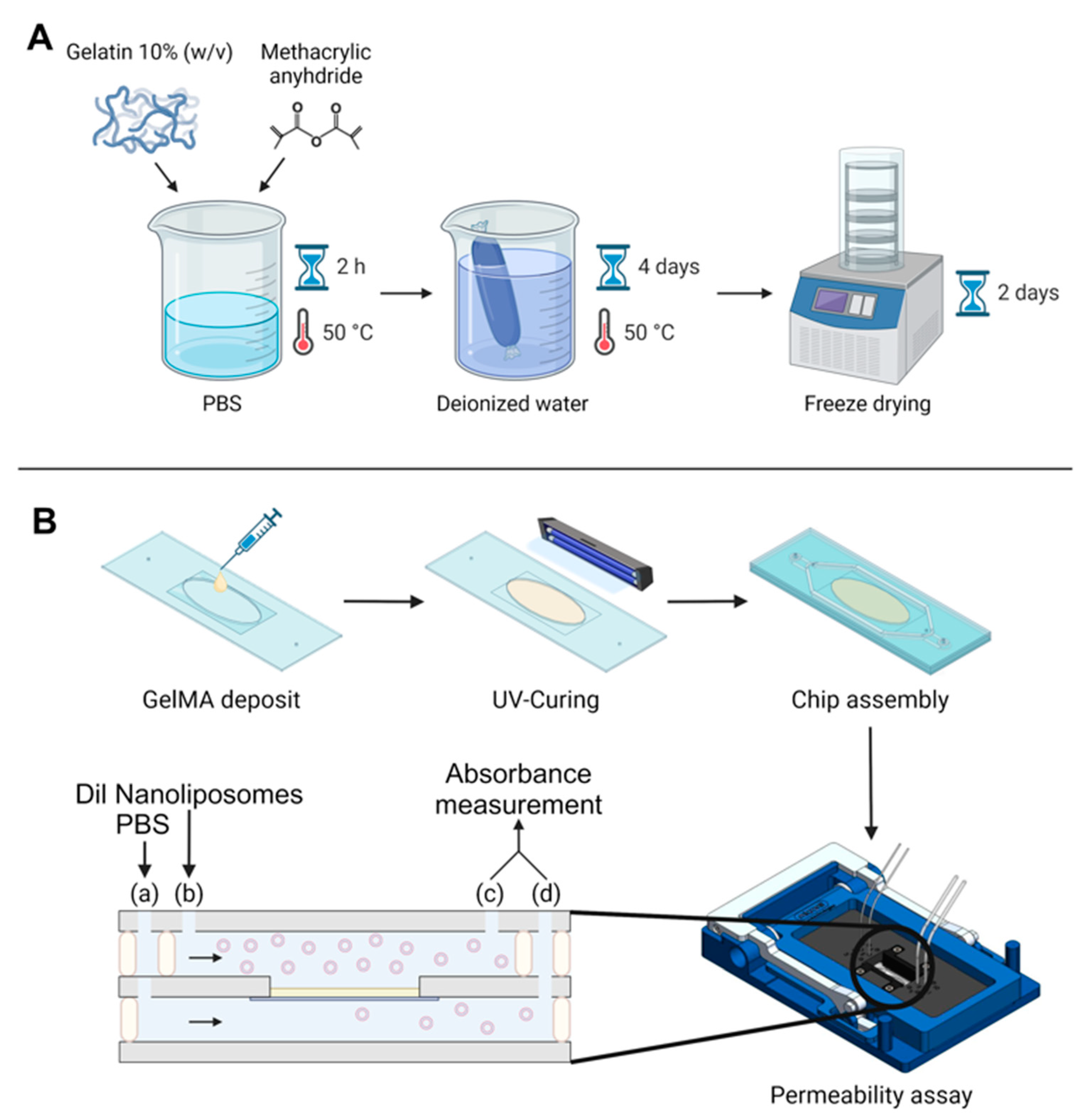 Pharmaceutics 16 00765 g001