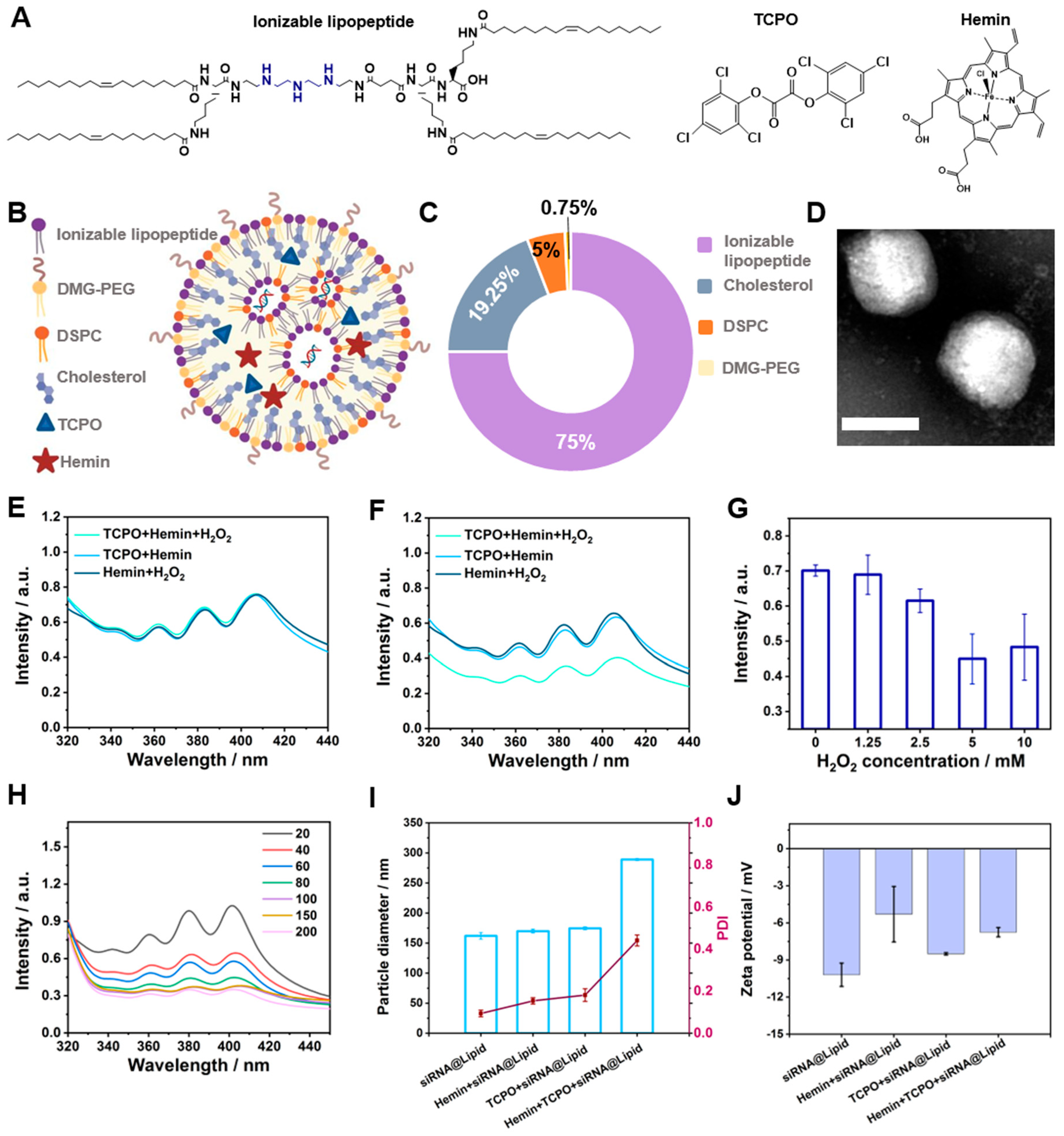 Pharmaceutics 16 00779 g001
