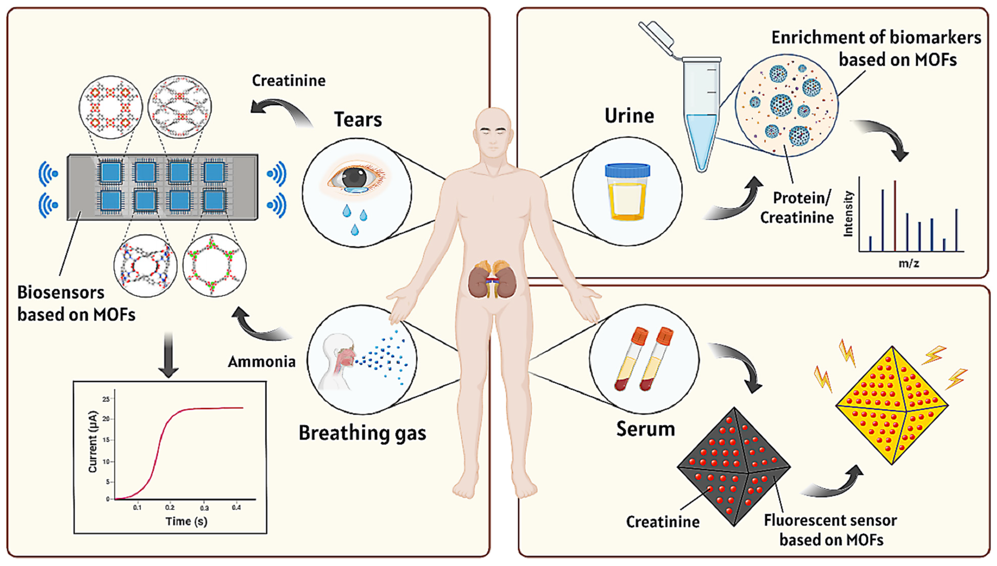 Pharmaceutics 16 00793 g001