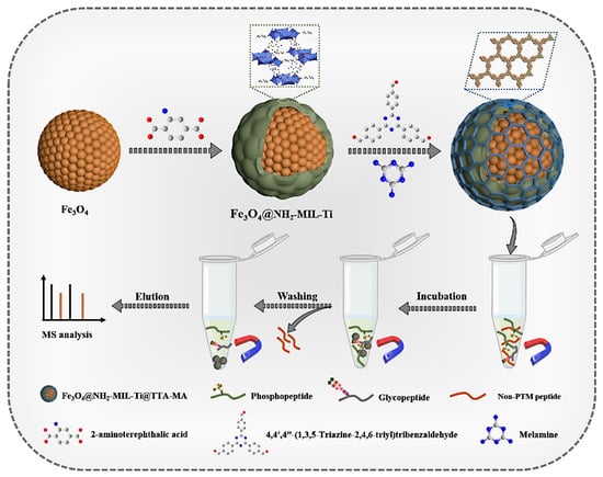 Pharmaceutics 16 00793 g002