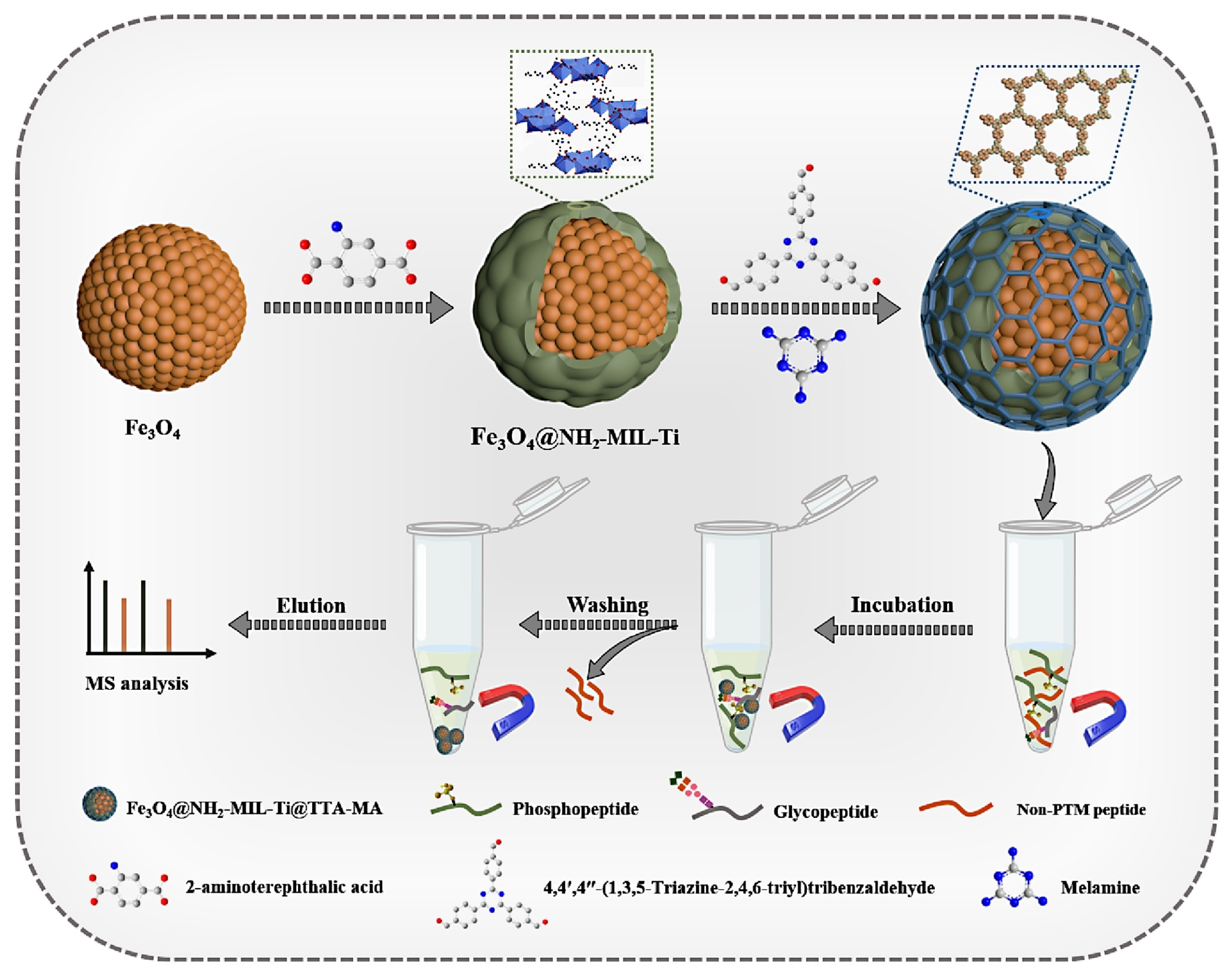 Pharmaceutics 16 00793 g002