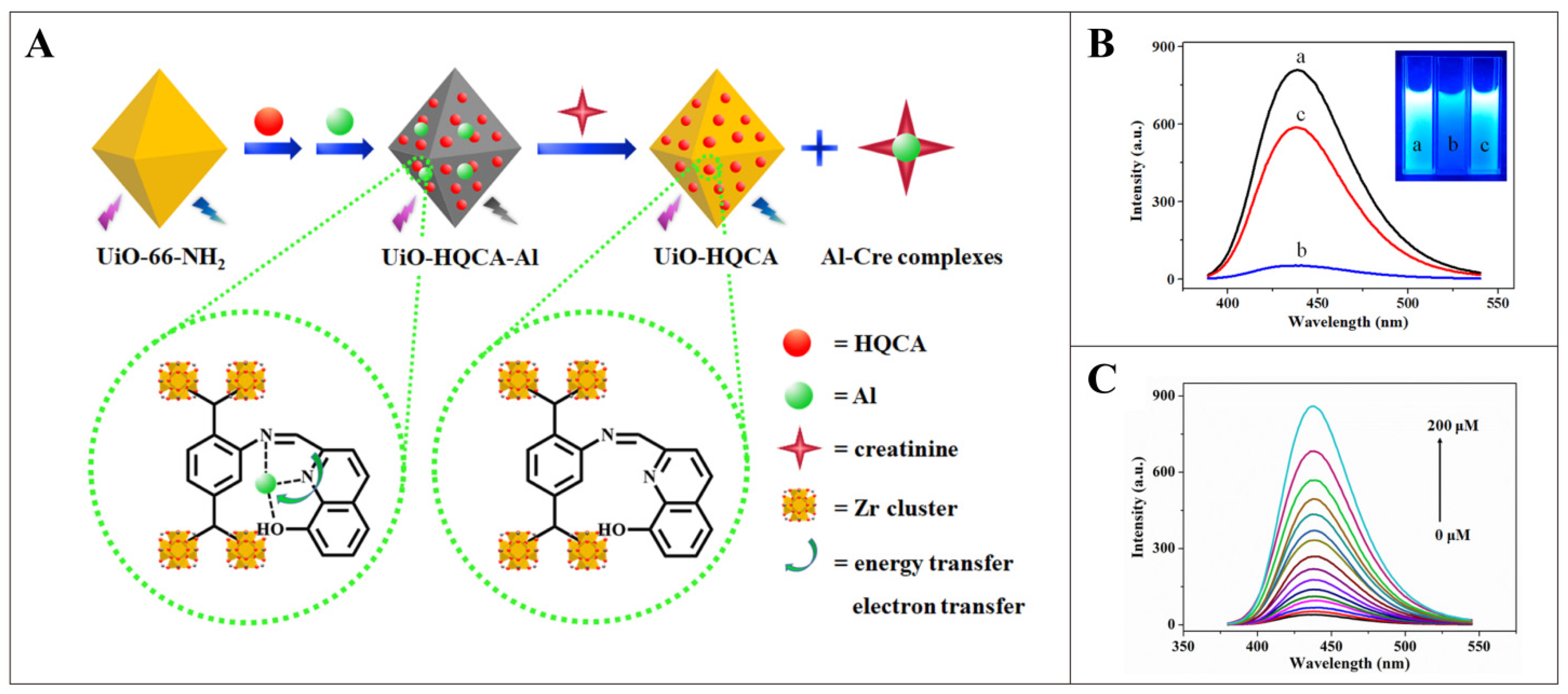 Pharmaceutics 16 00793 g005