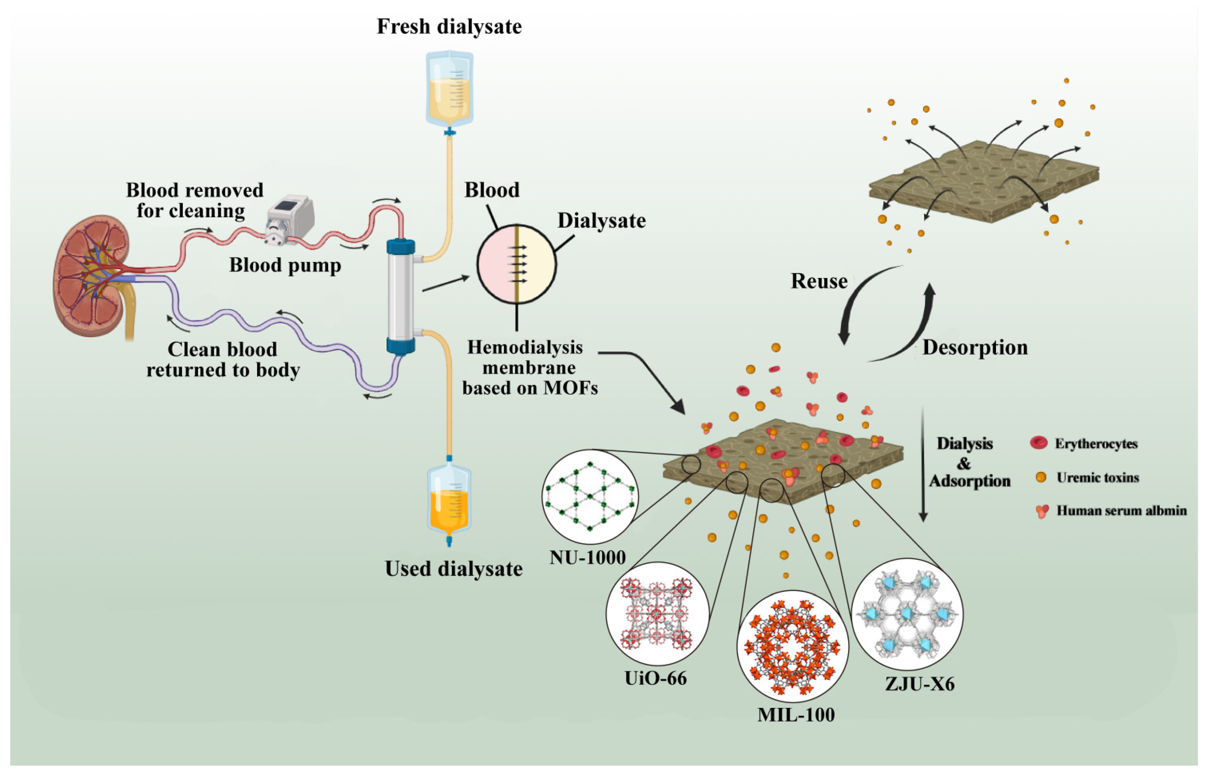 Pharmaceutics 16 00793 g007