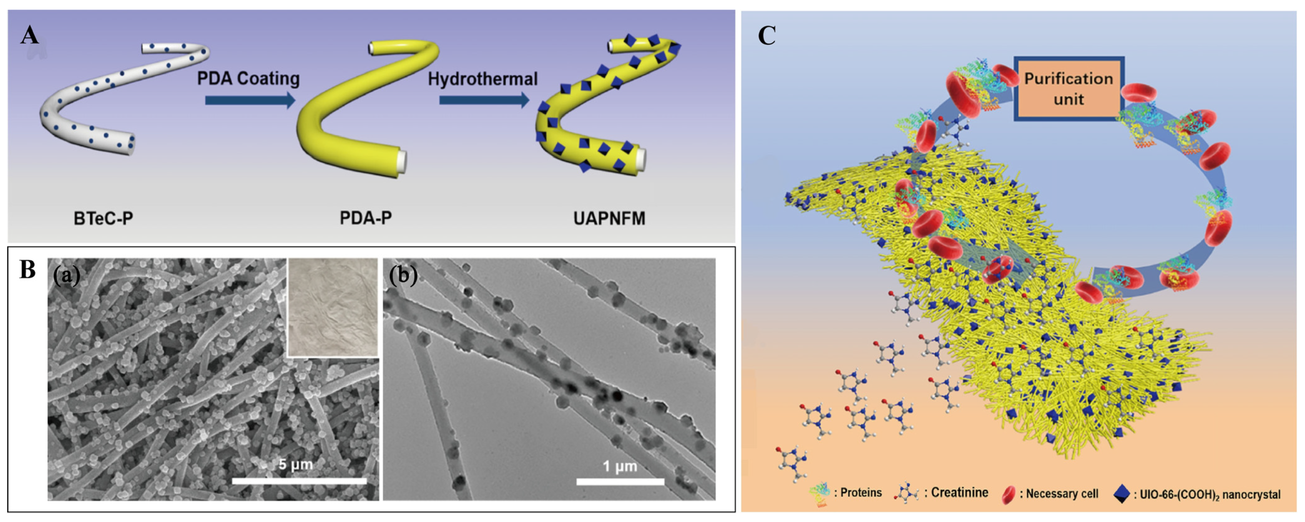 Pharmaceutics 16 00793 g008