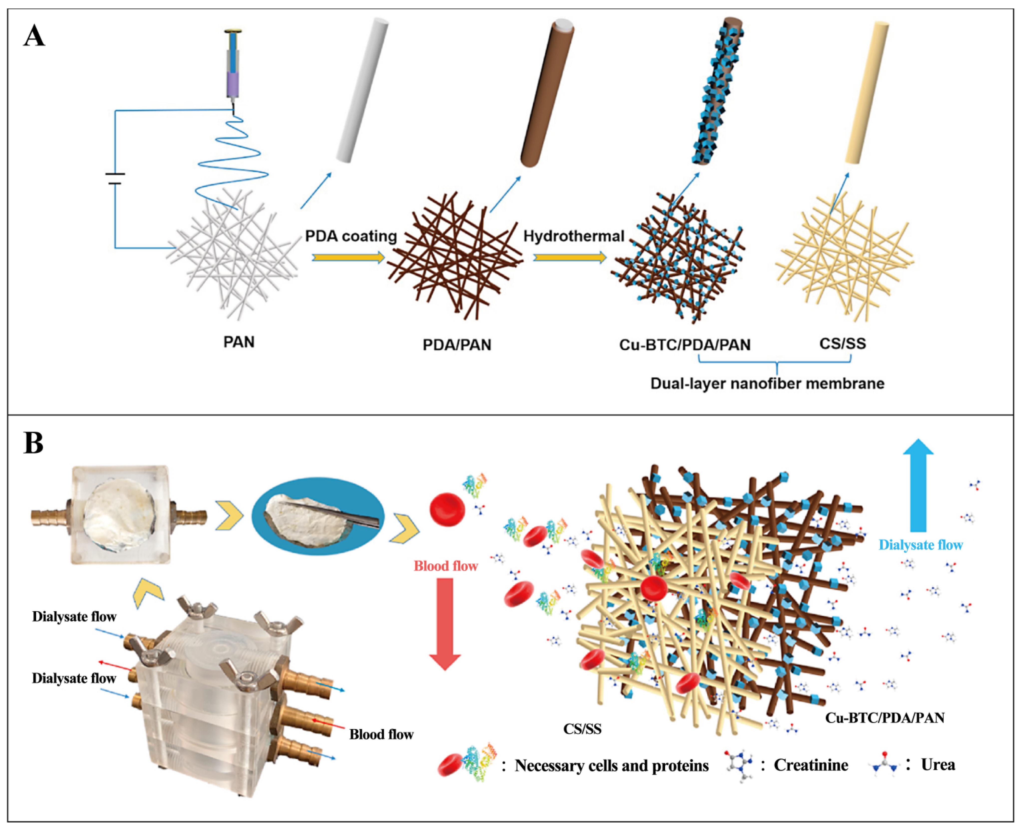 Pharmaceutics 16 00793 g012