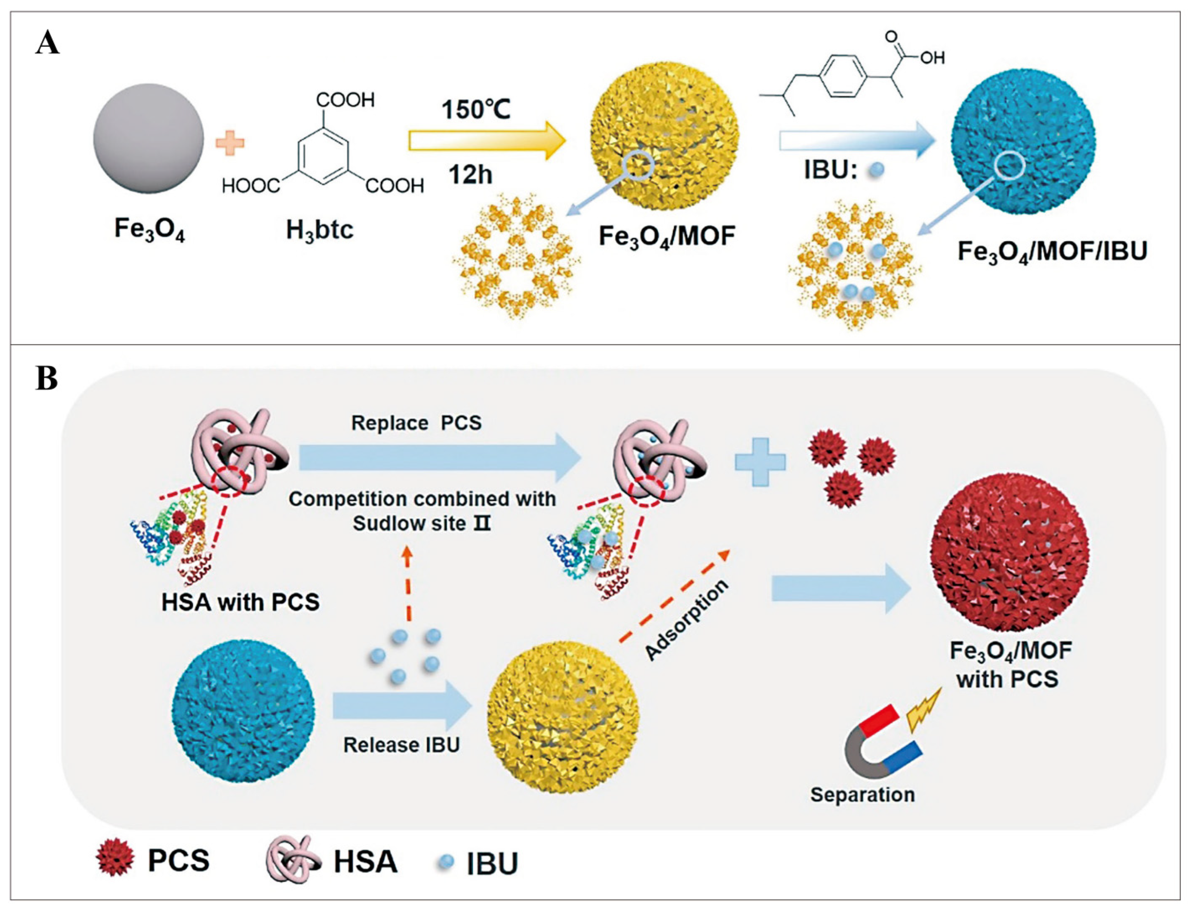 Pharmaceutics 16 00793 g013