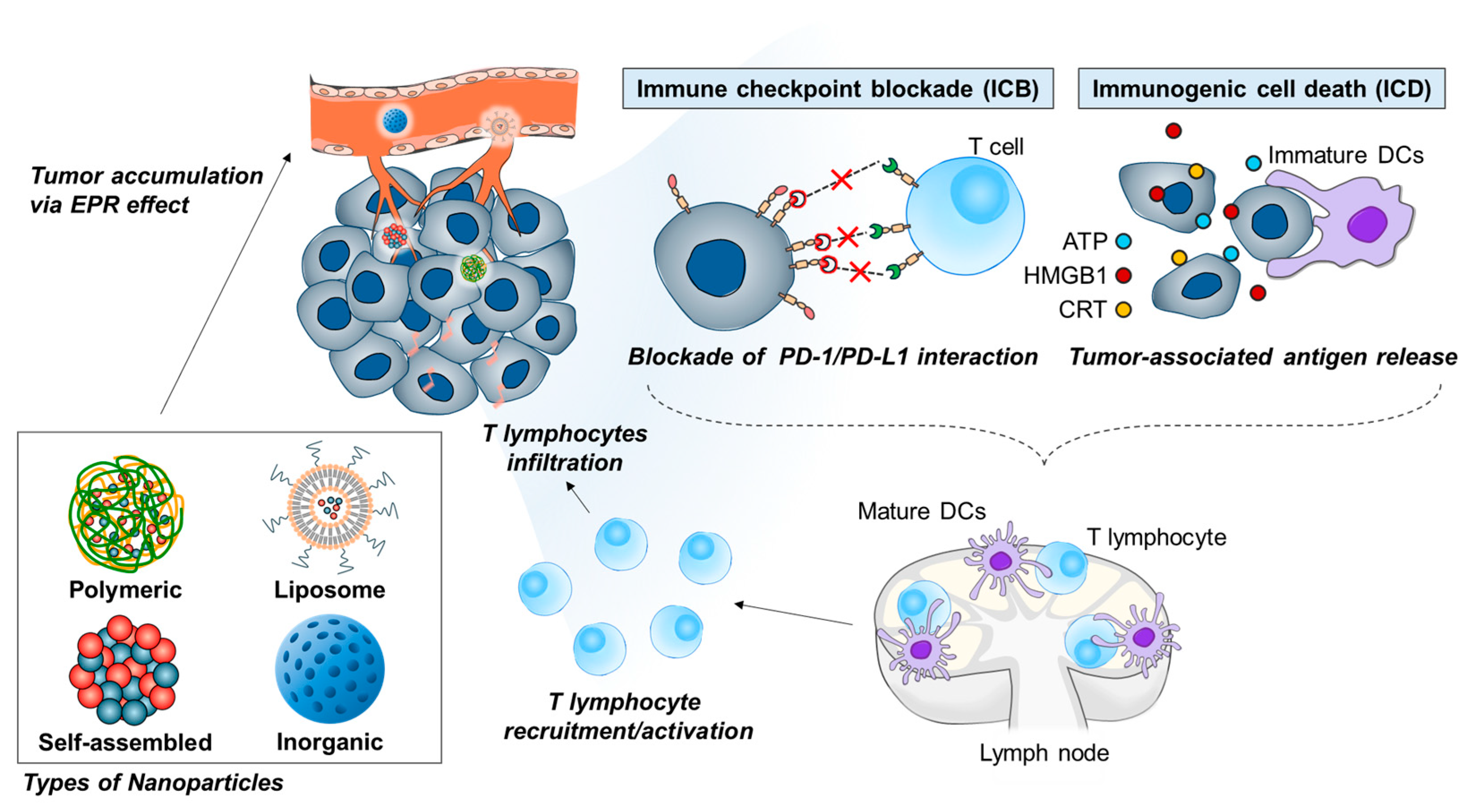 Pharmaceutics 16 00795 g001