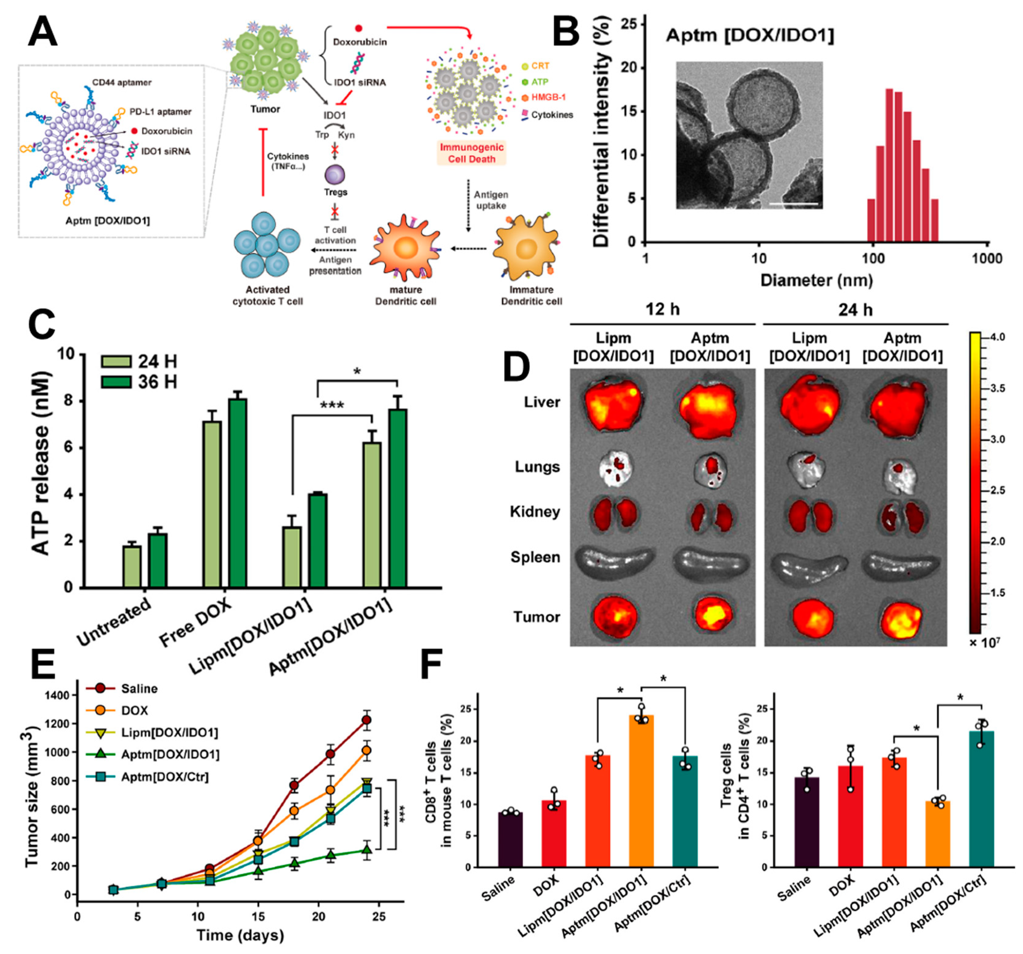 Pharmaceutics 16 00795 g003