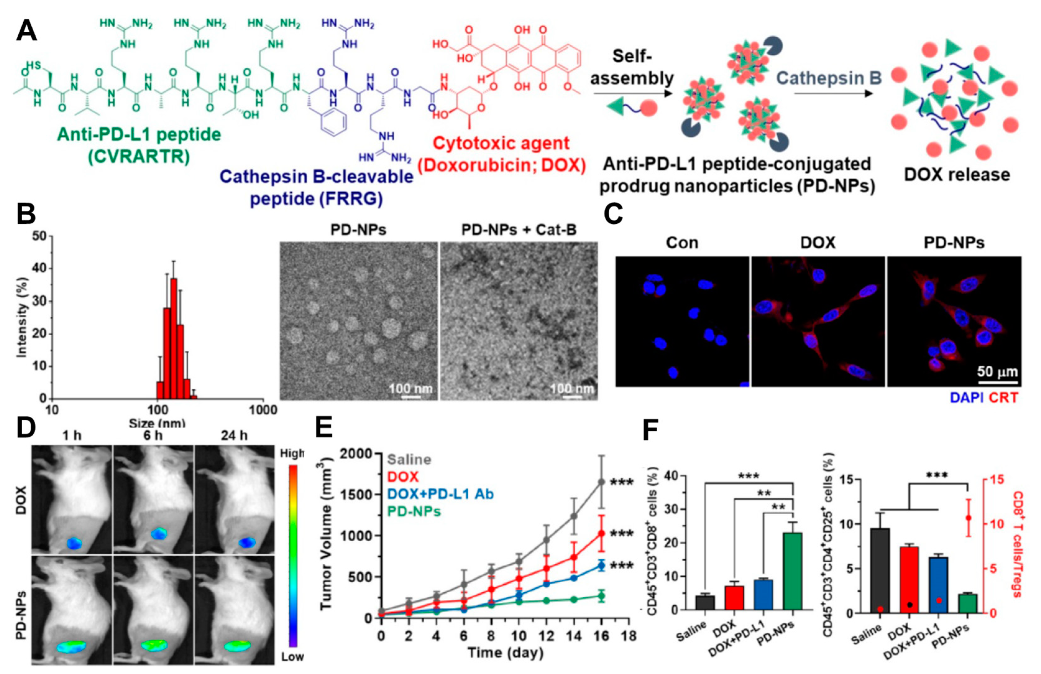 Pharmaceutics 16 00795 g004