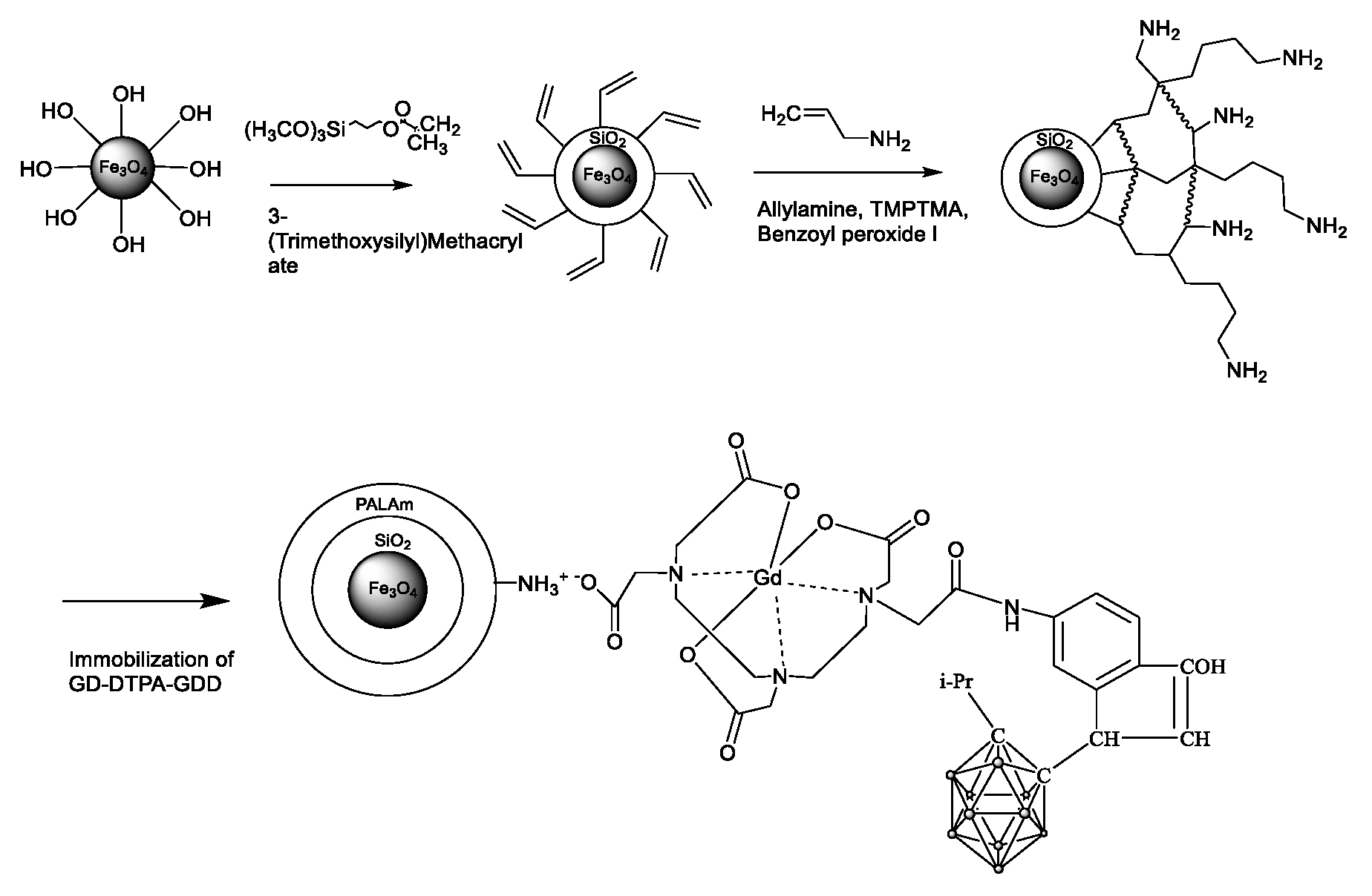 Pharmaceutics 16 00797 g005