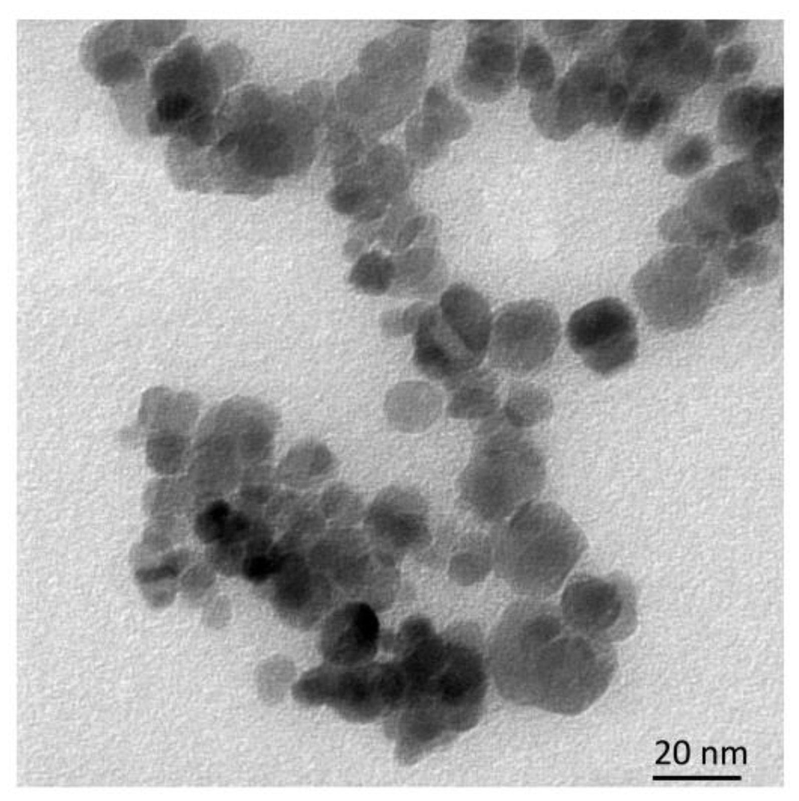 Pharmaceutics 16 00797 g007