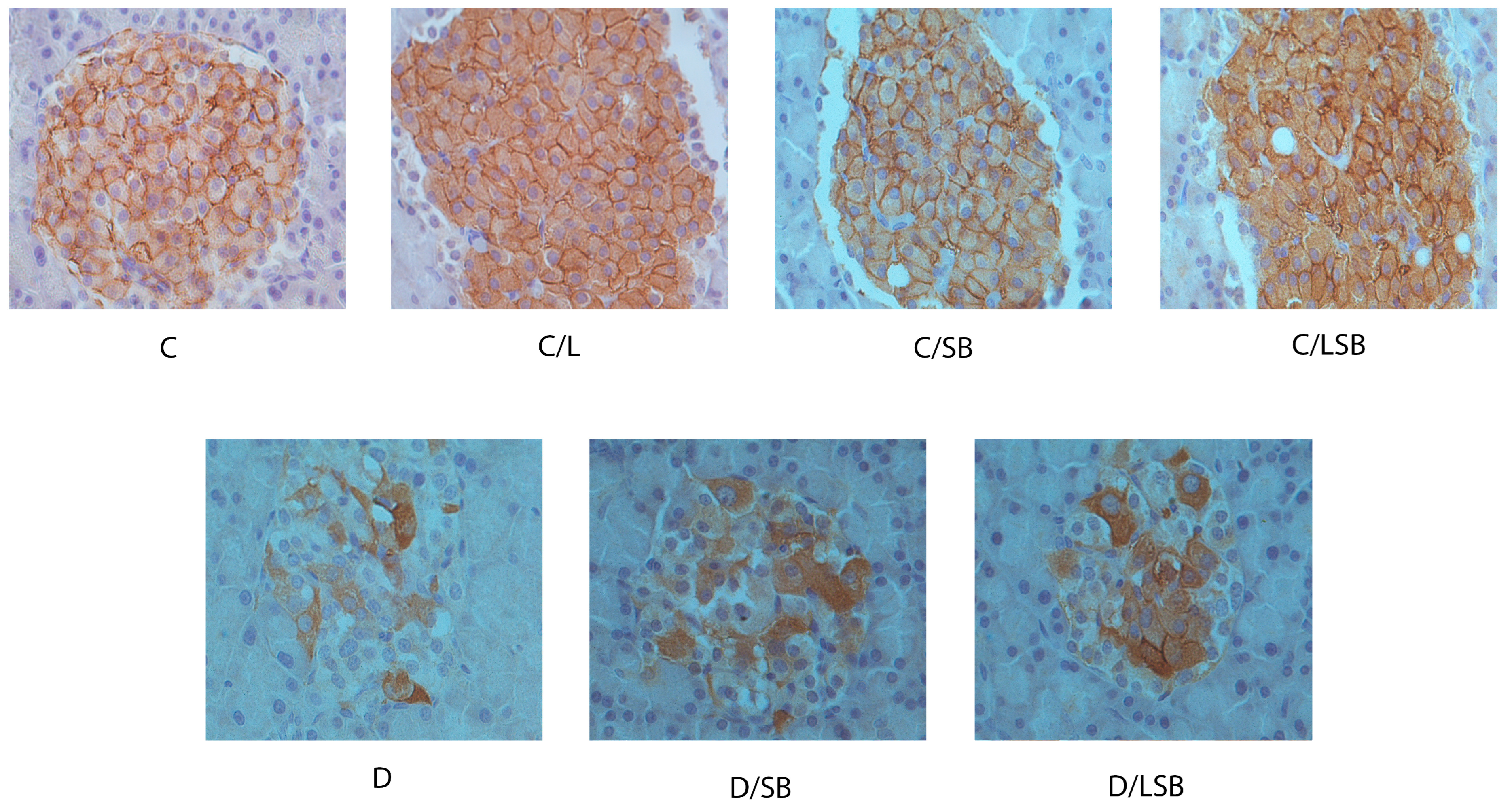 Pharmaceutics 16 00801 g006