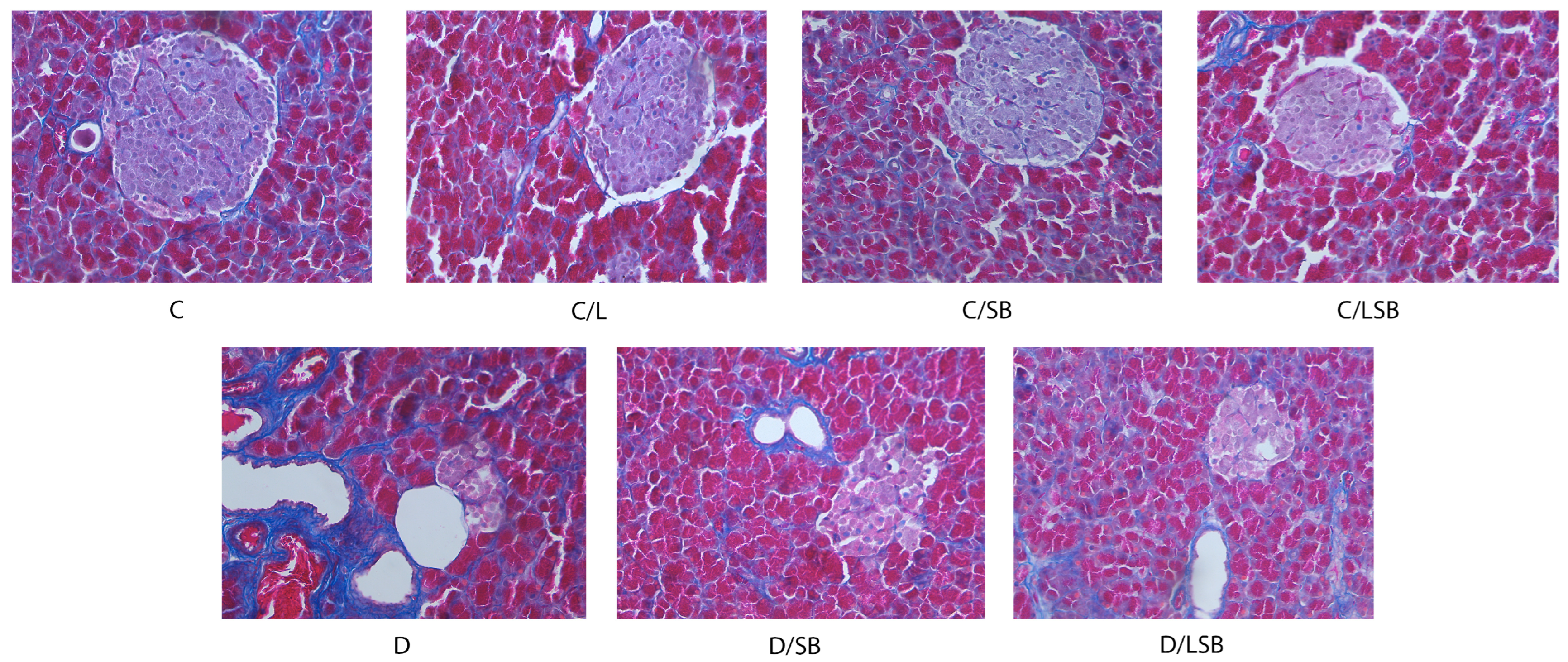 Pharmaceutics 16 00801 g007