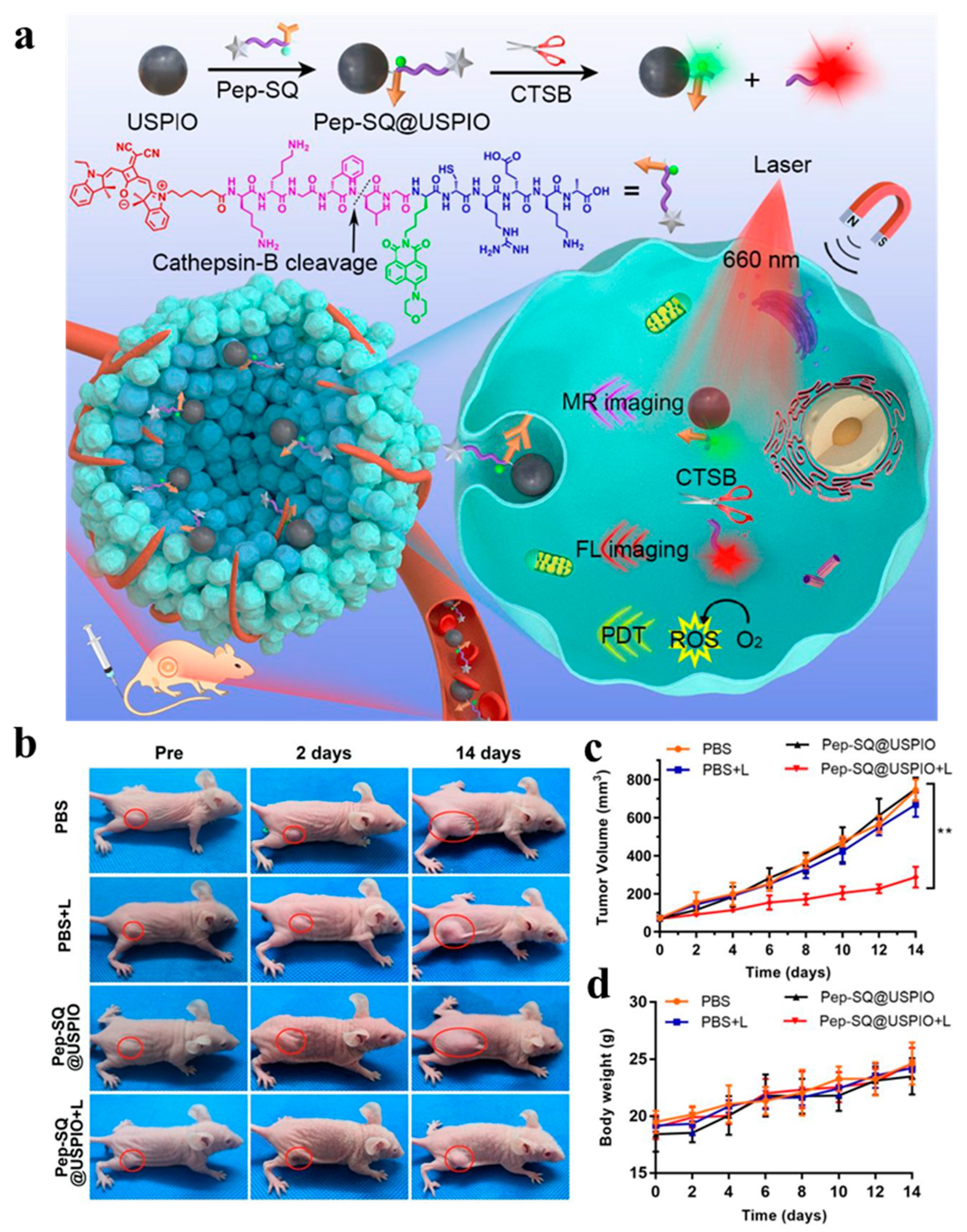 Pharmaceutics 16 00803 g007