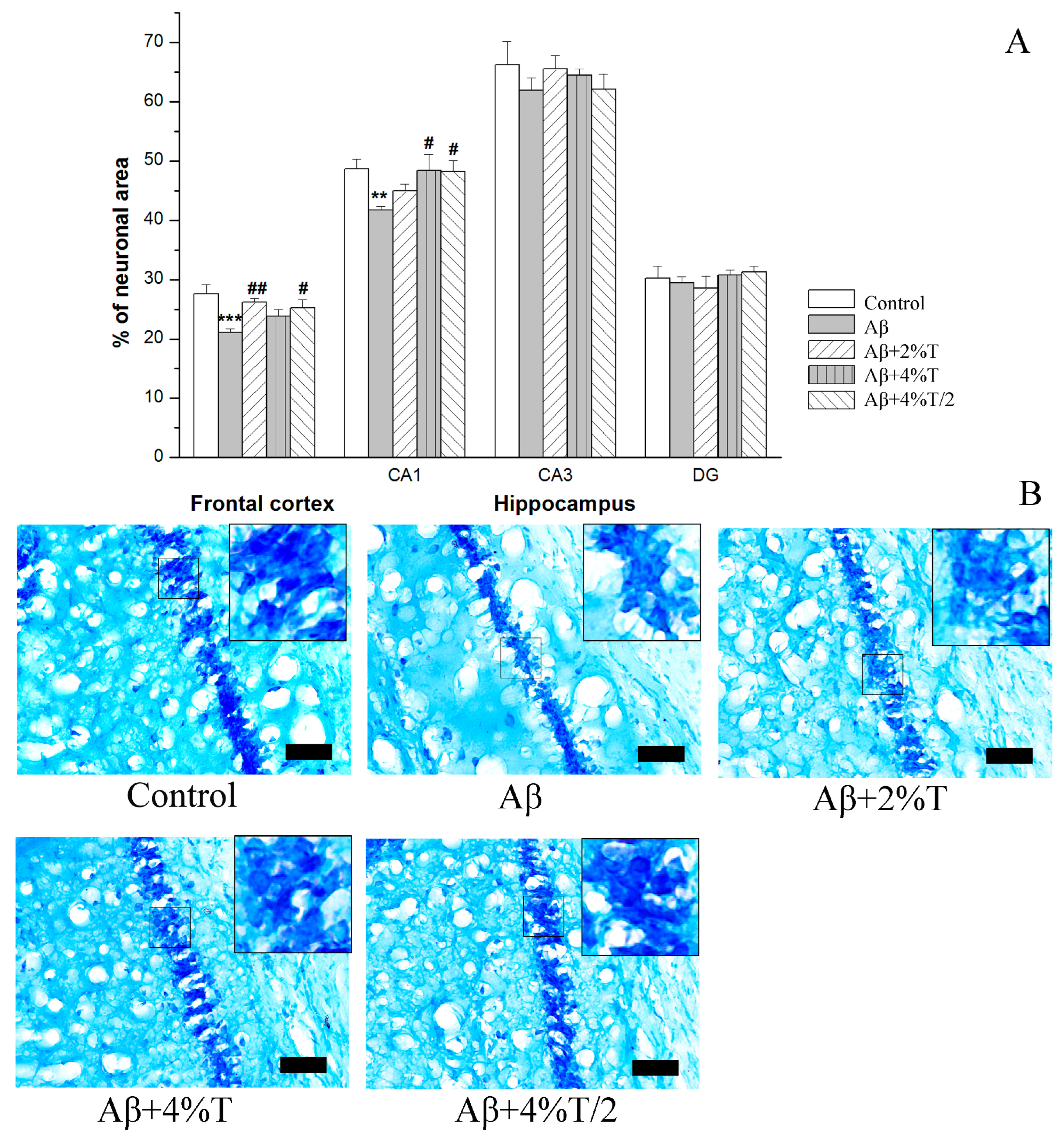 Pharmaceutics 16 00813 g003