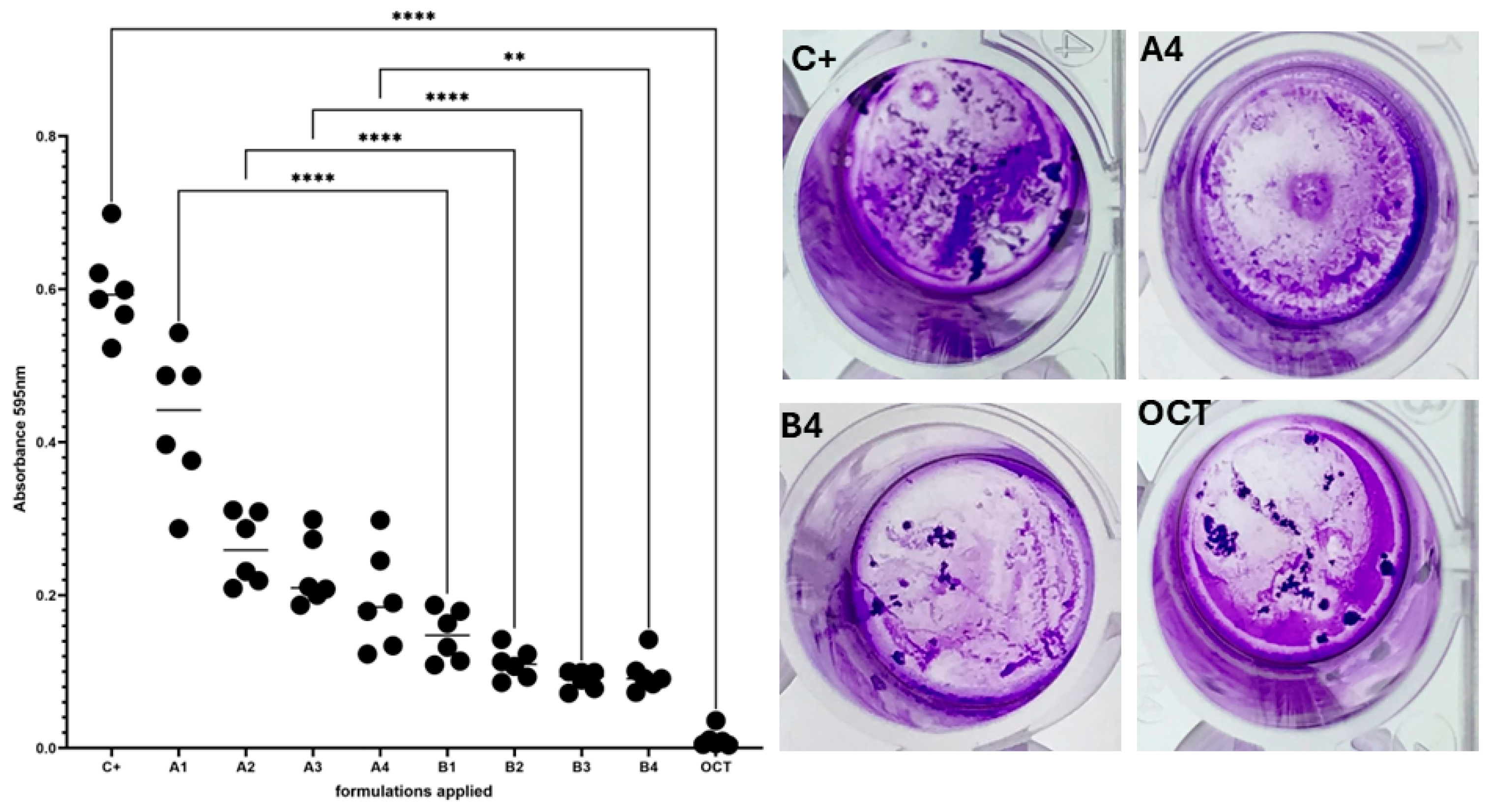 Pharmaceutics 16 00830 g005 Pharmaceutics 16 00830 g005