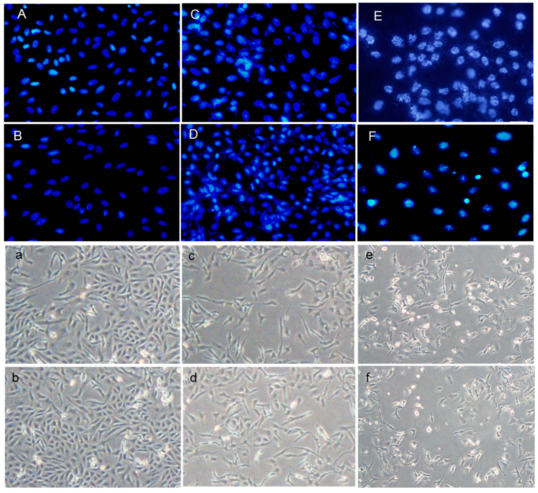 Pharmaceutics 16 00840 g002