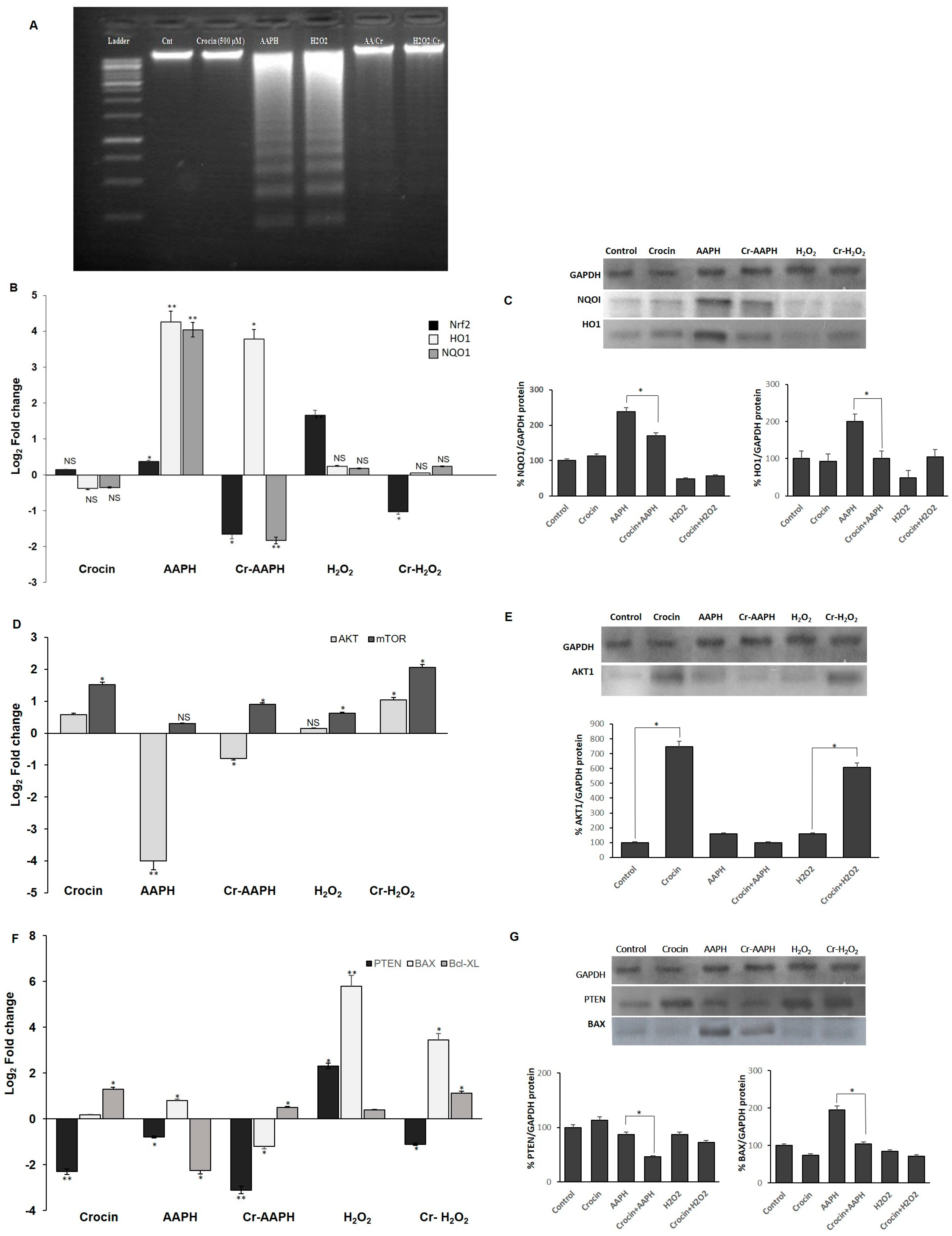 Pharmaceutics 16 00840 g003