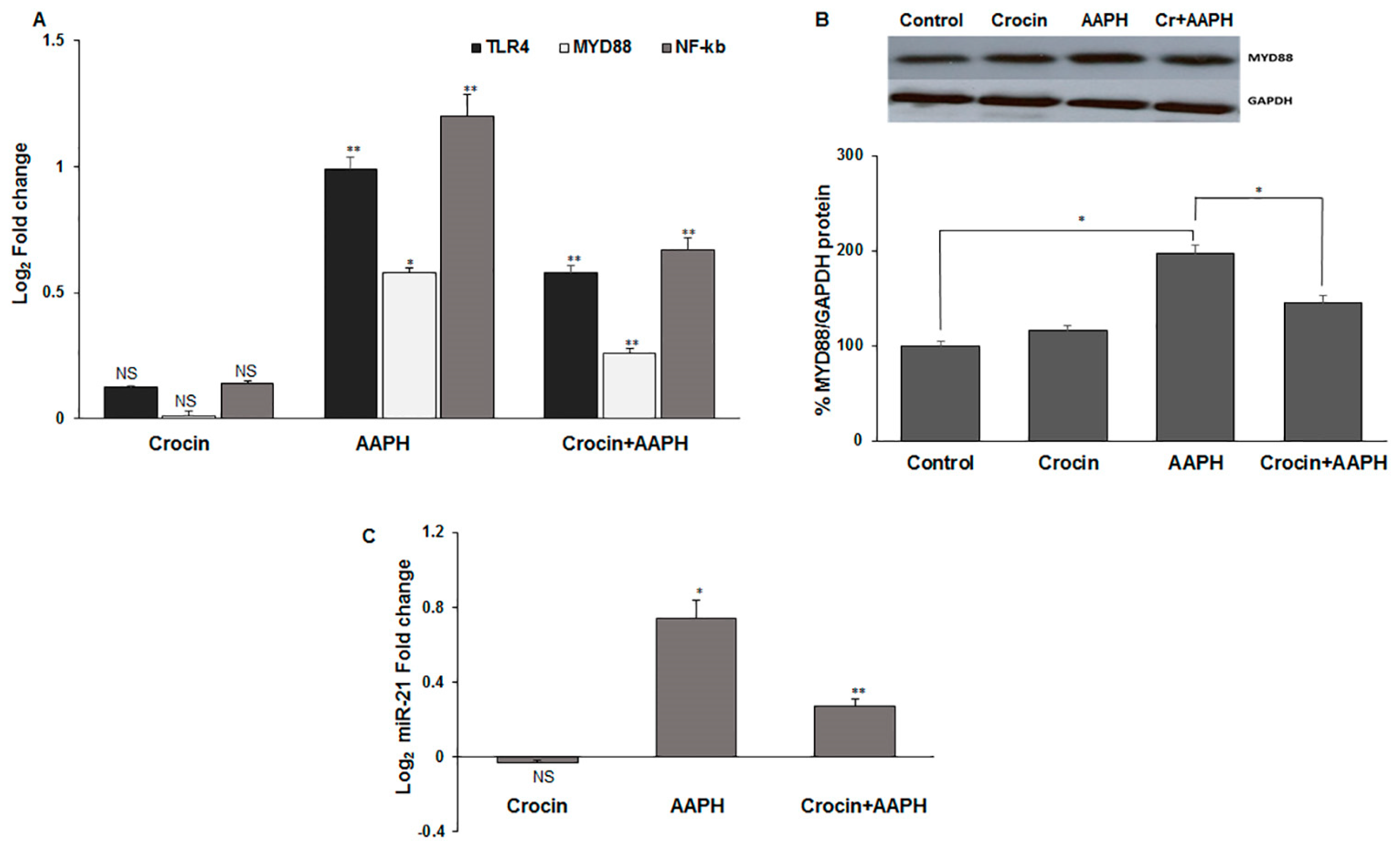Pharmaceutics 16 00840 g007