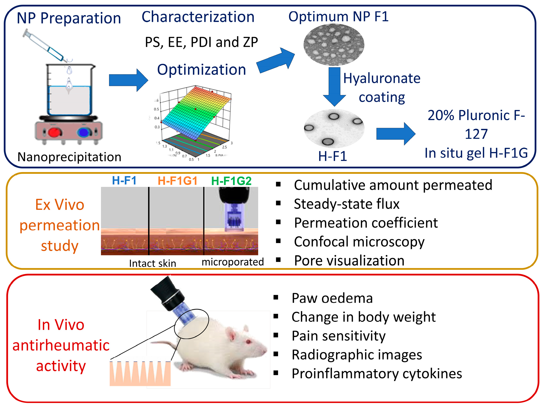 Pharmaceutics 16 00844 g001