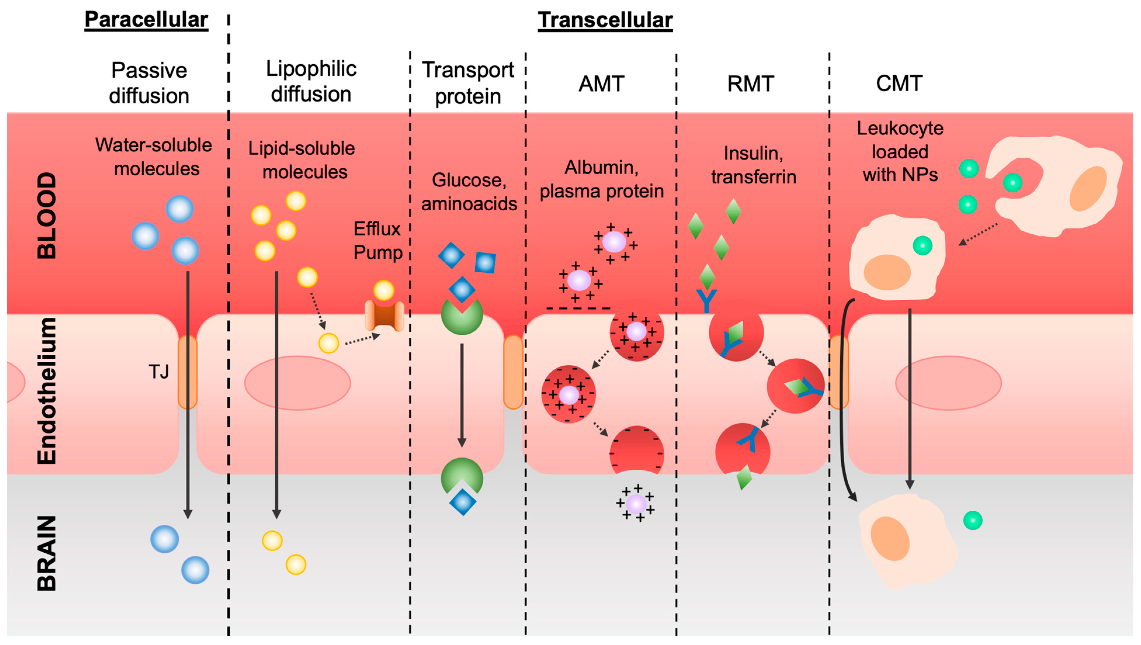 Pharmaceutics 16 00849 g002