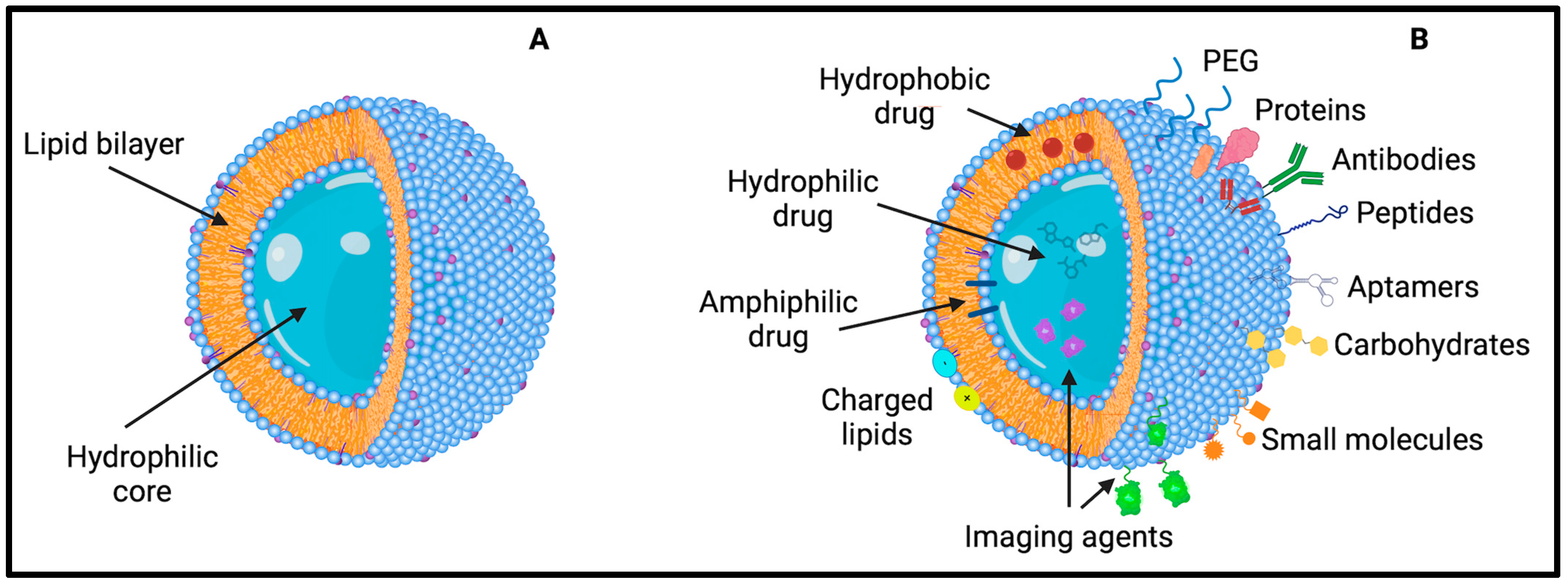 Pharmaceutics 16 00849 g003