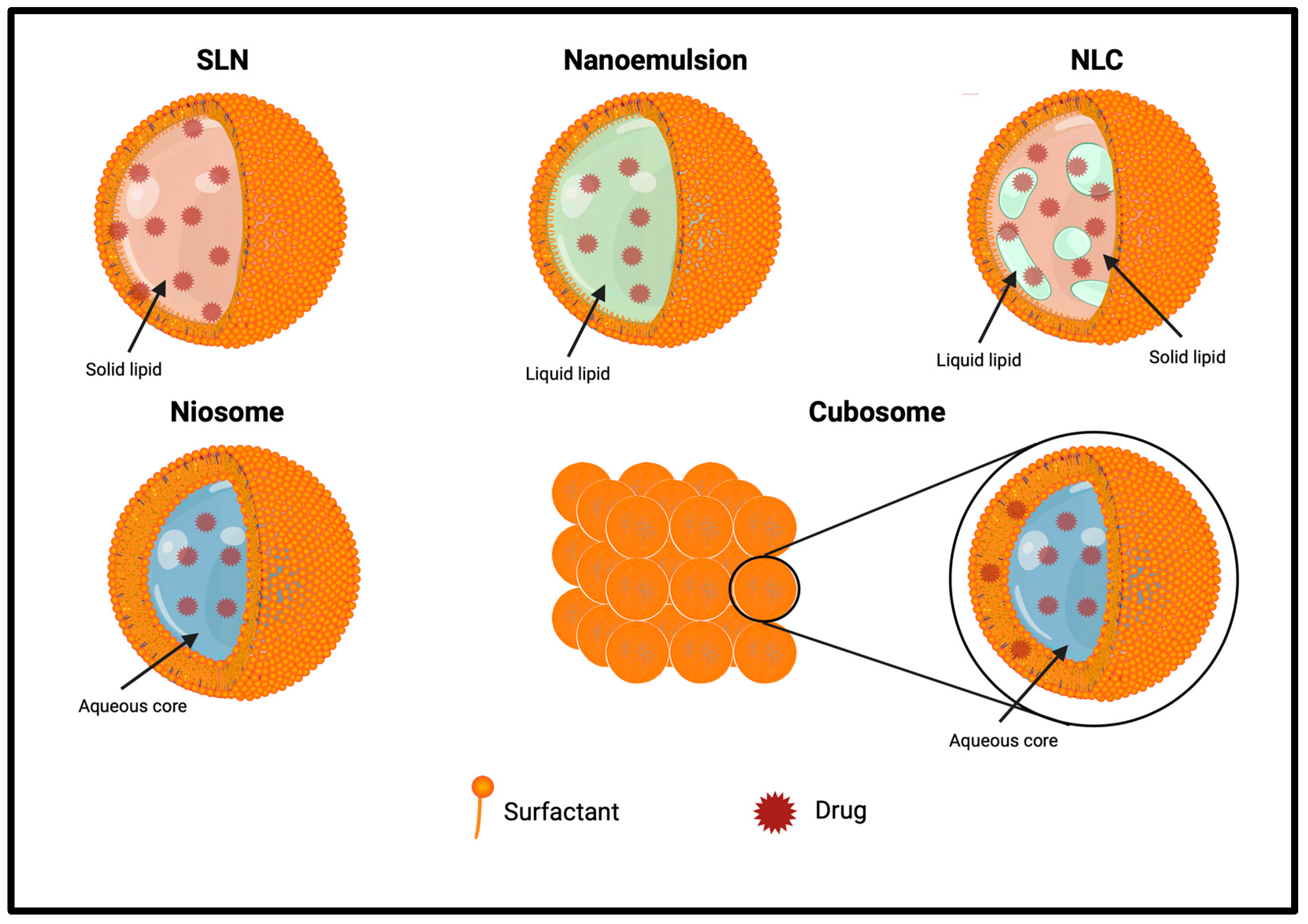 Pharmaceutics 16 00849 g004