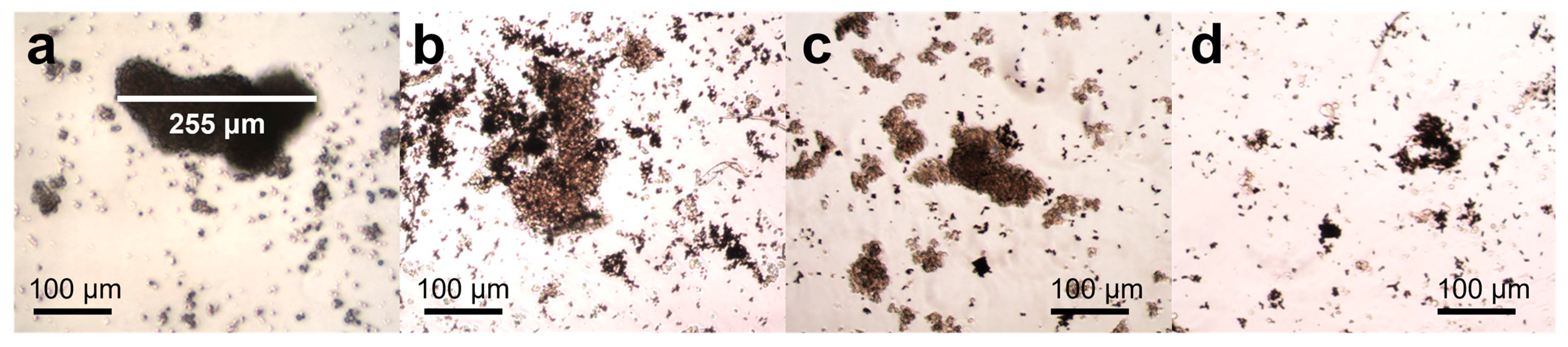 Pharmaceutics 16 00856 g006