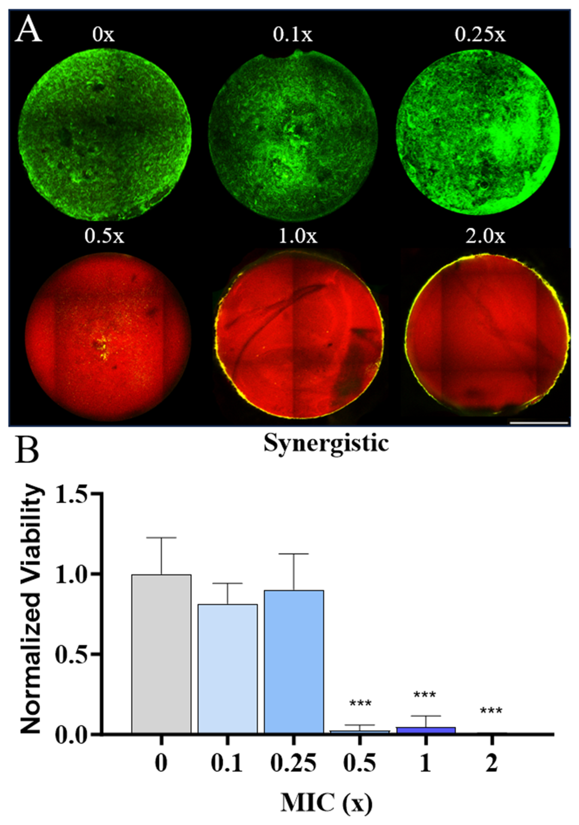 Pharmaceutics 16 00860 g004