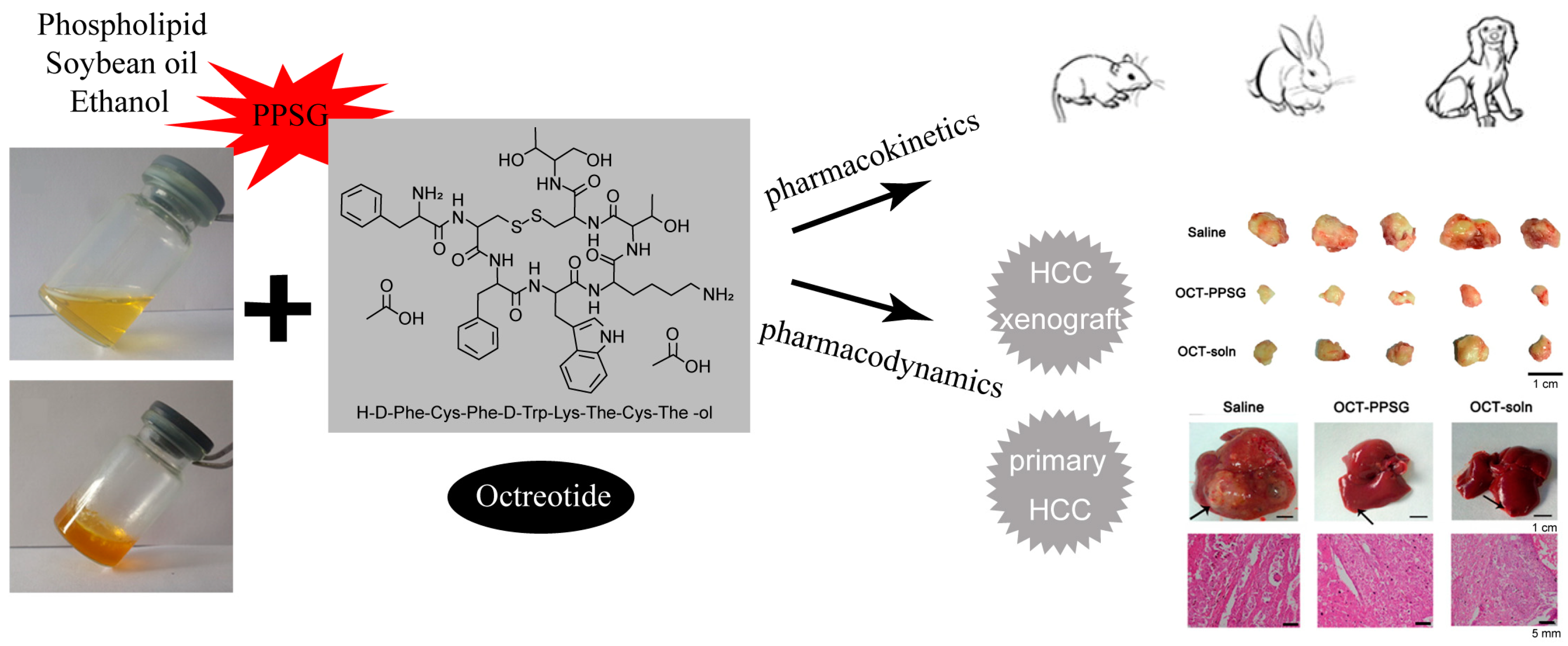 Pharmaceutics 16 00875 g003