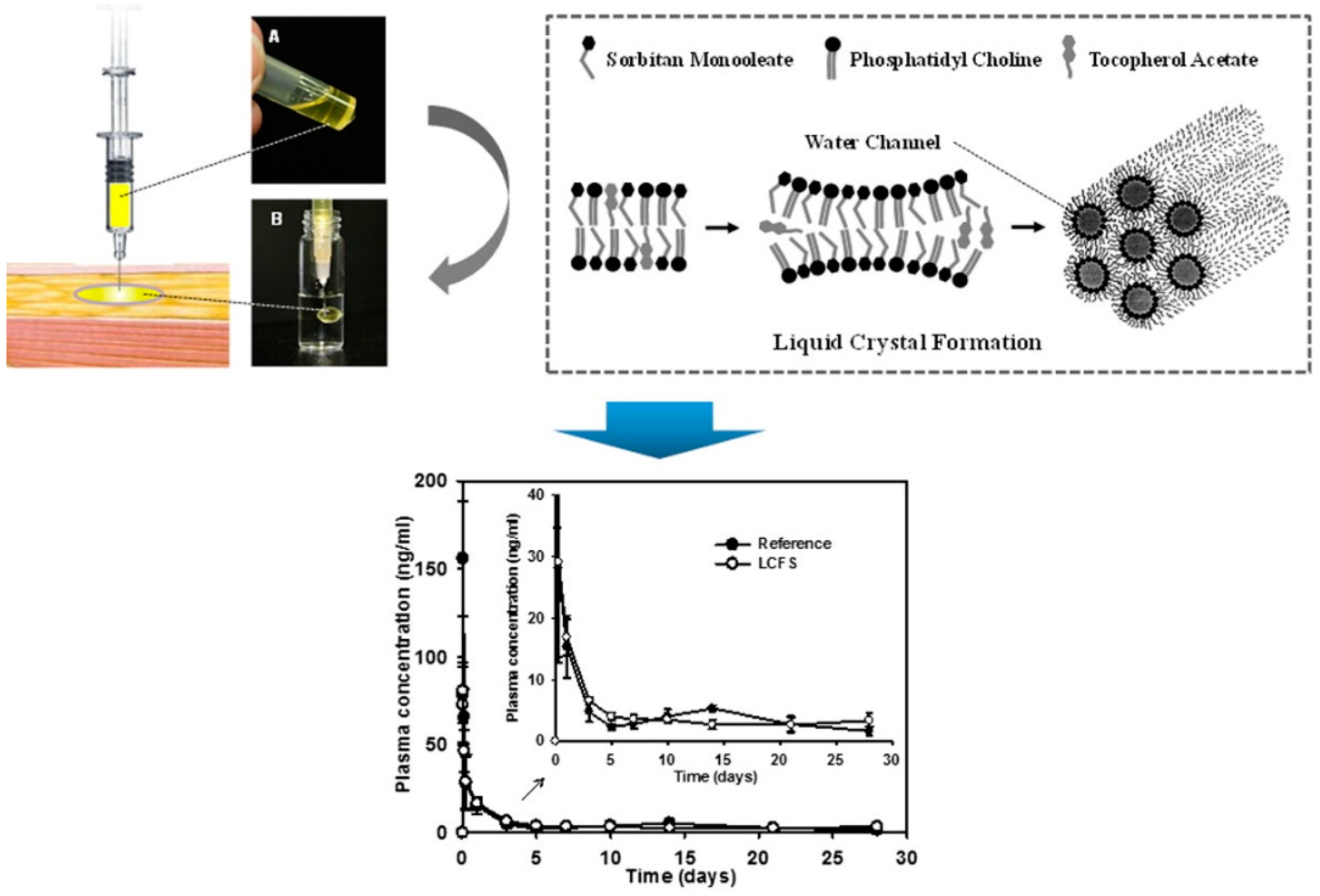 Pharmaceutics 16 00875 g004