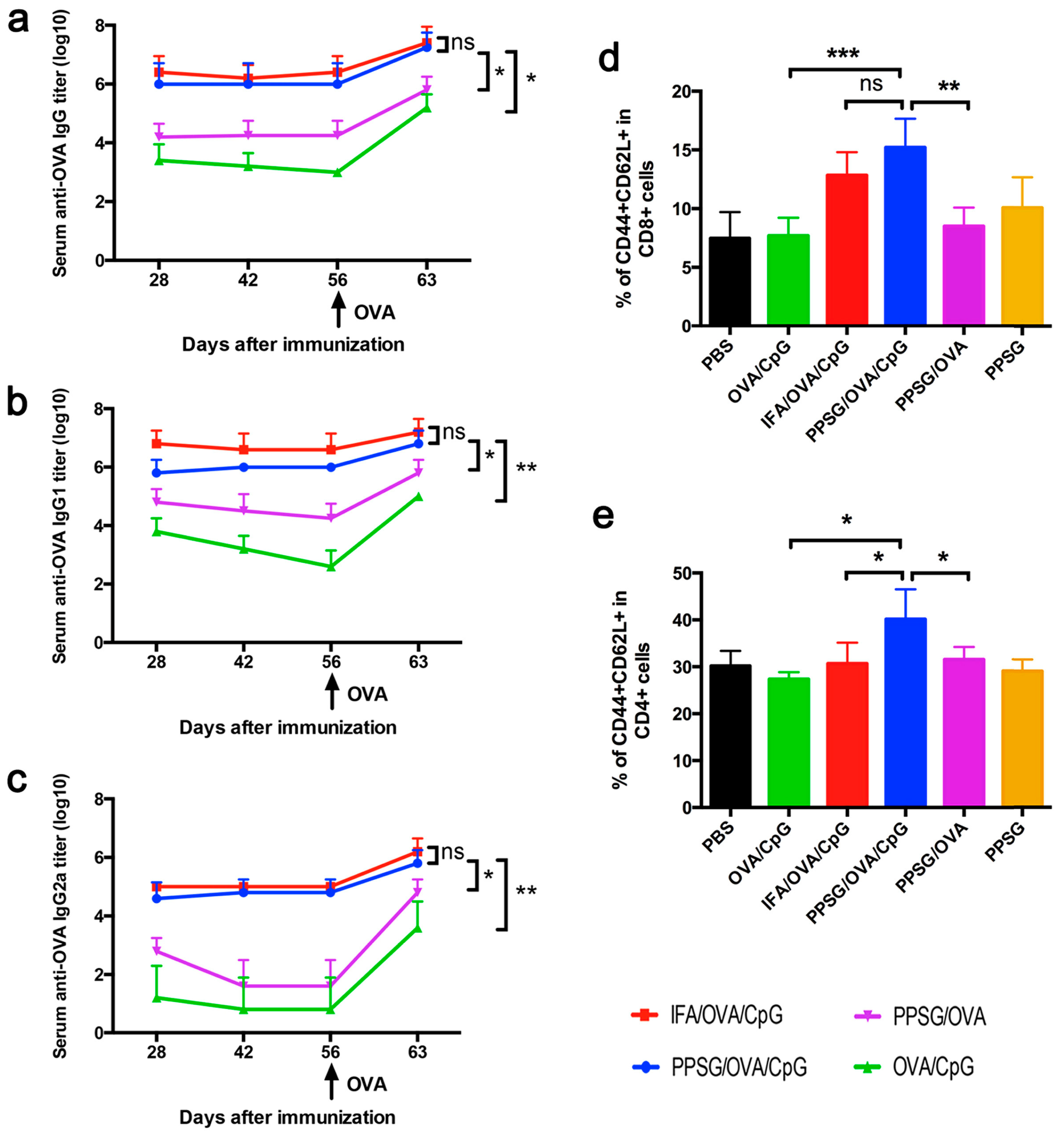 Pharmaceutics 16 00875 g005