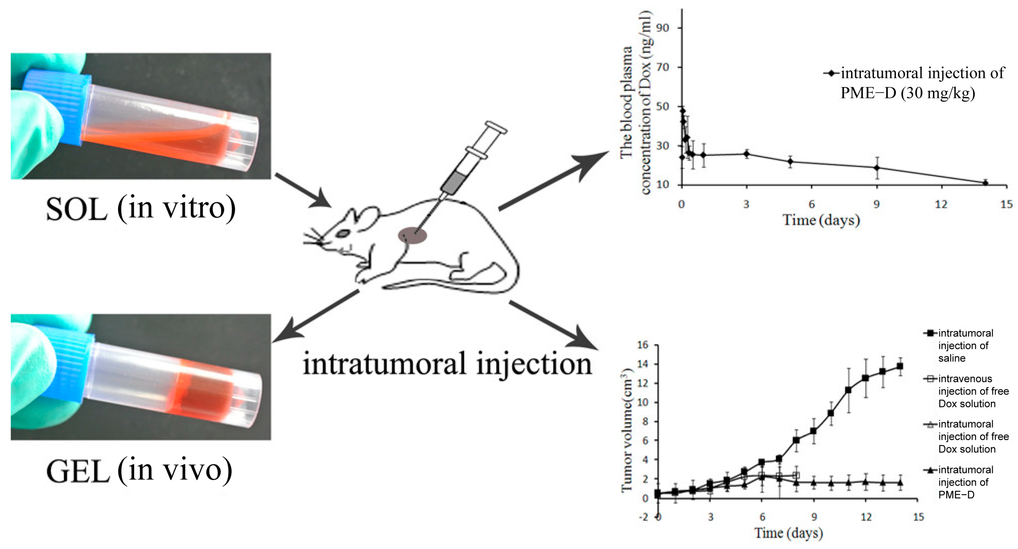 Pharmaceutics 16 00875 g006