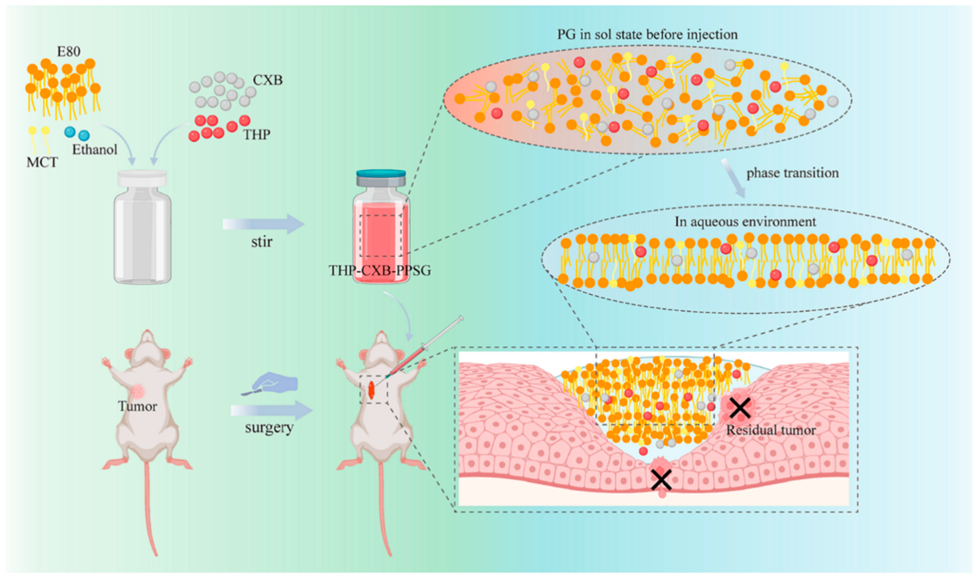 Pharmaceutics 16 00875 g007