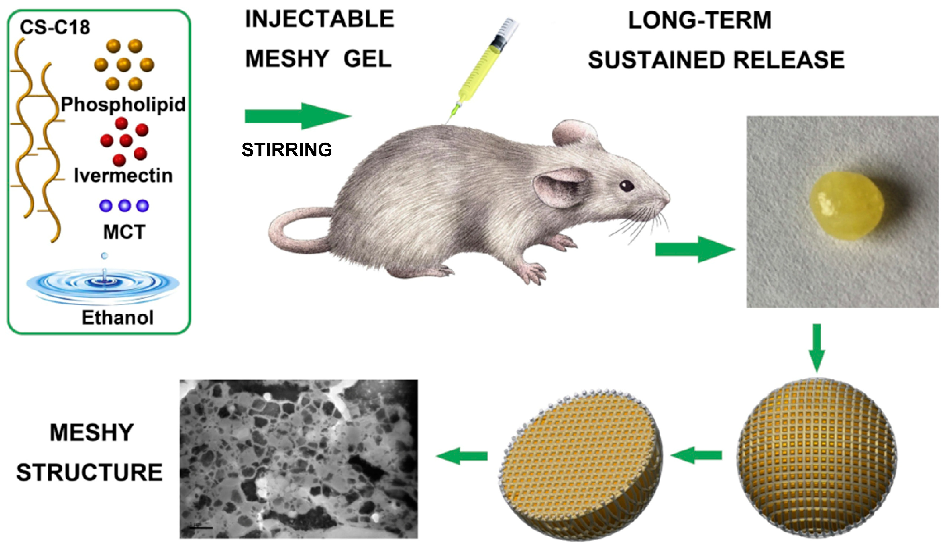 Pharmaceutics 16 00875 g008