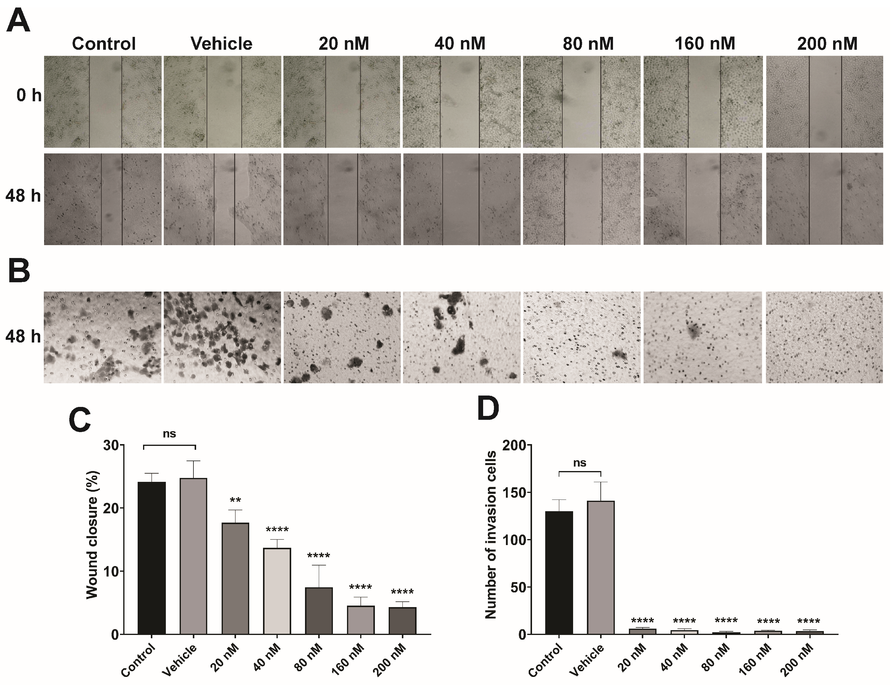 Pharmaceutics 16 00880 g006
