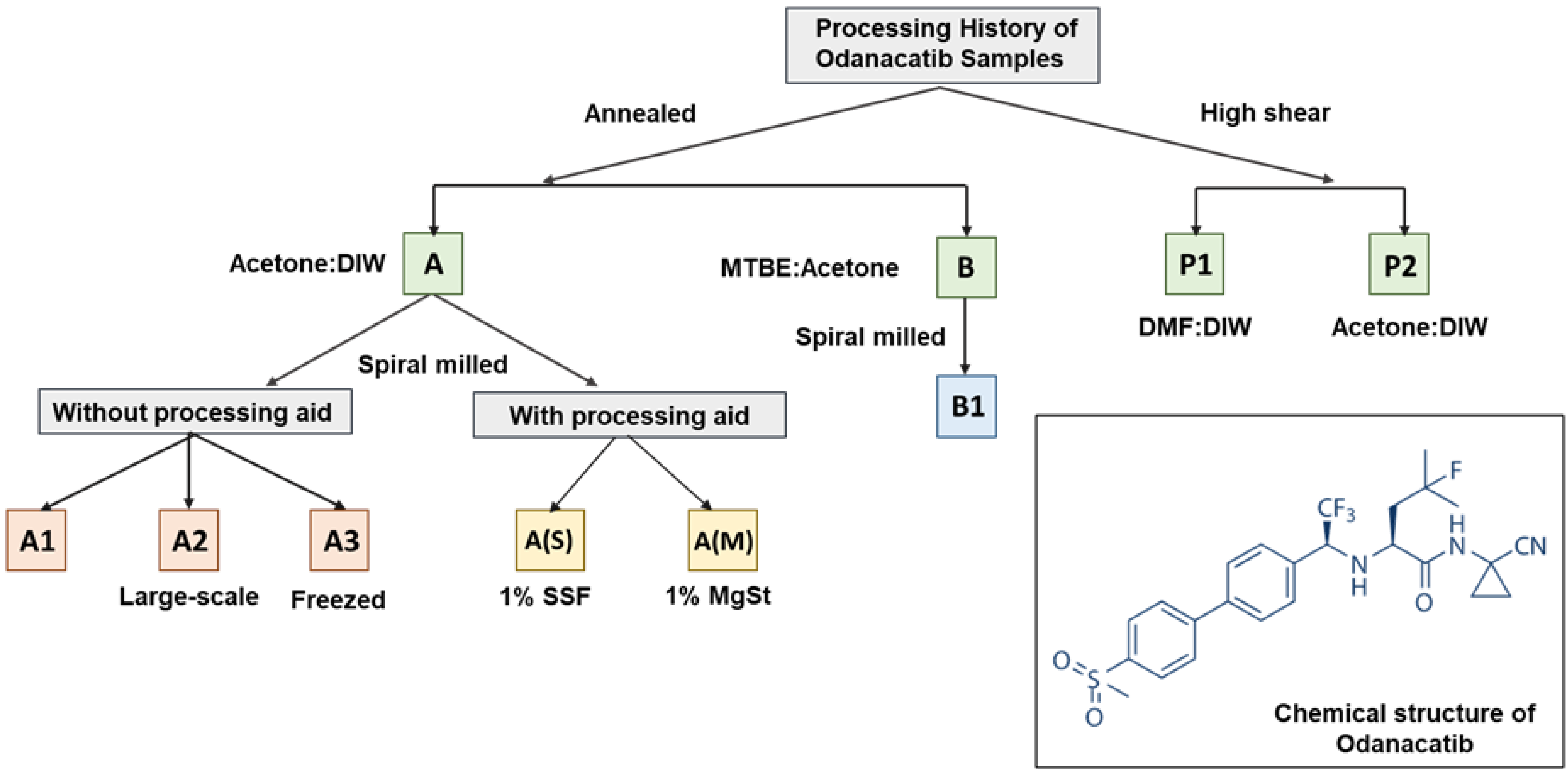 Pharmaceutics 16 00883 g001 Pharmaceutics 16 00883 g001