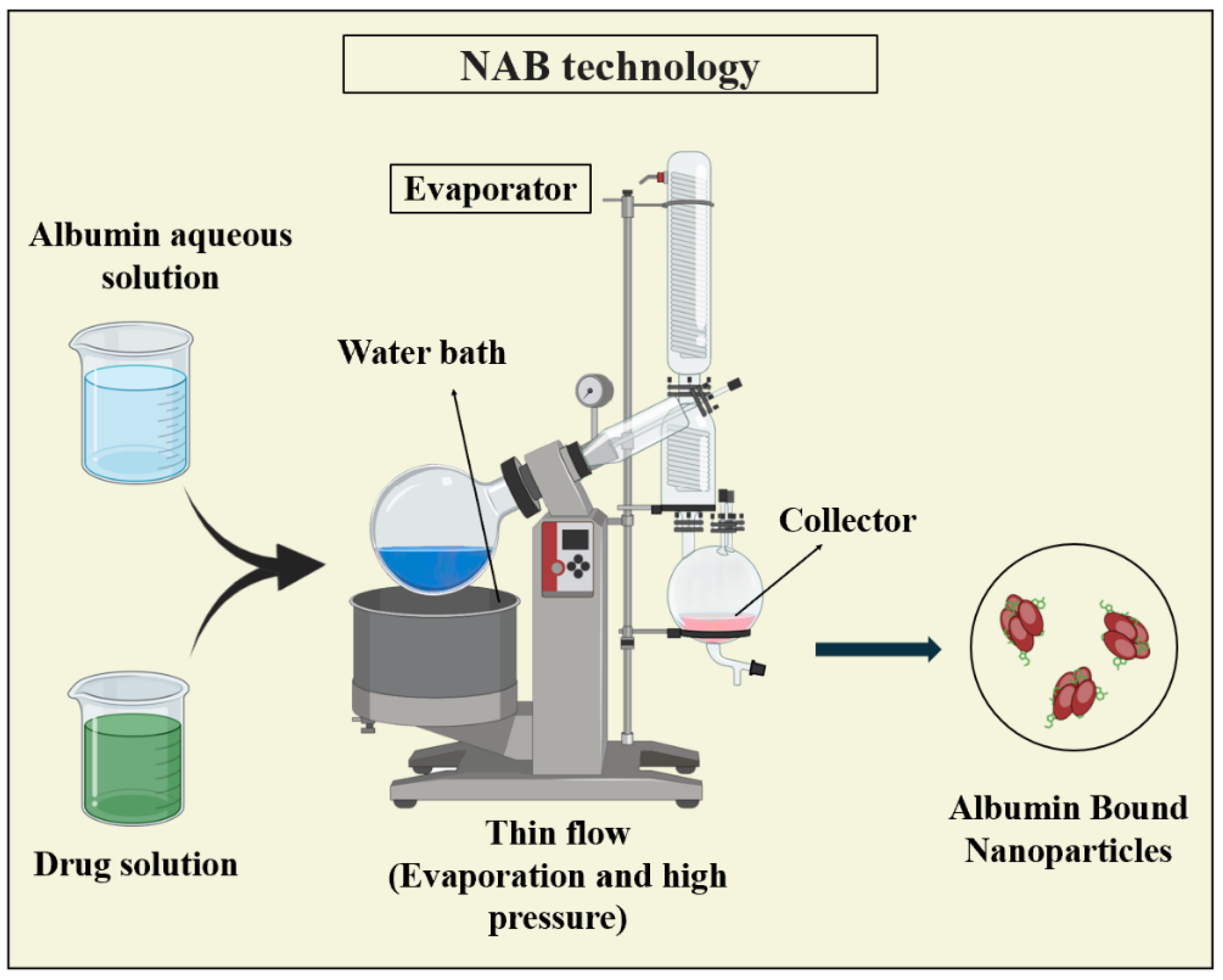 Pharmaceutics 16 00887 g010